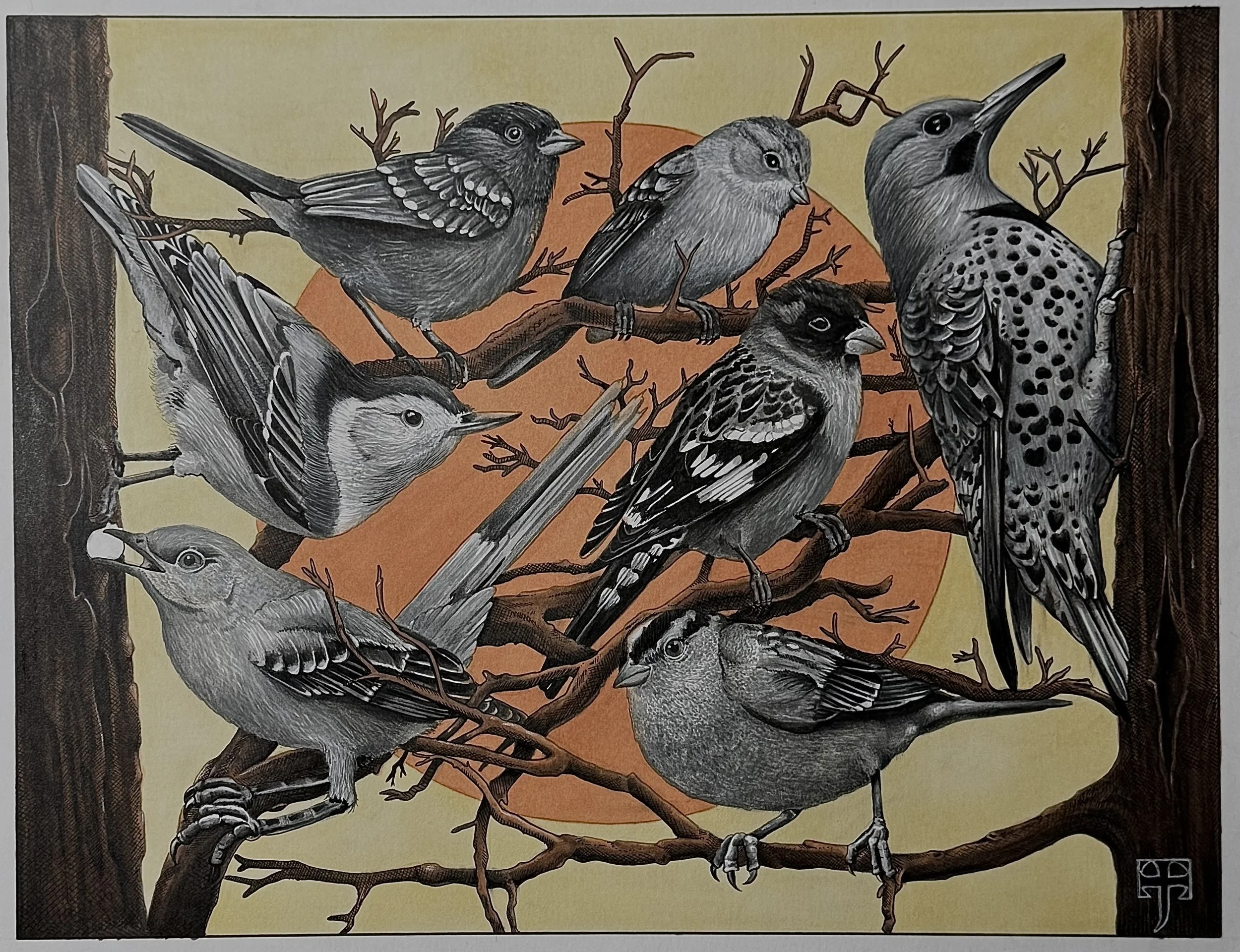Original Birds in Paradise