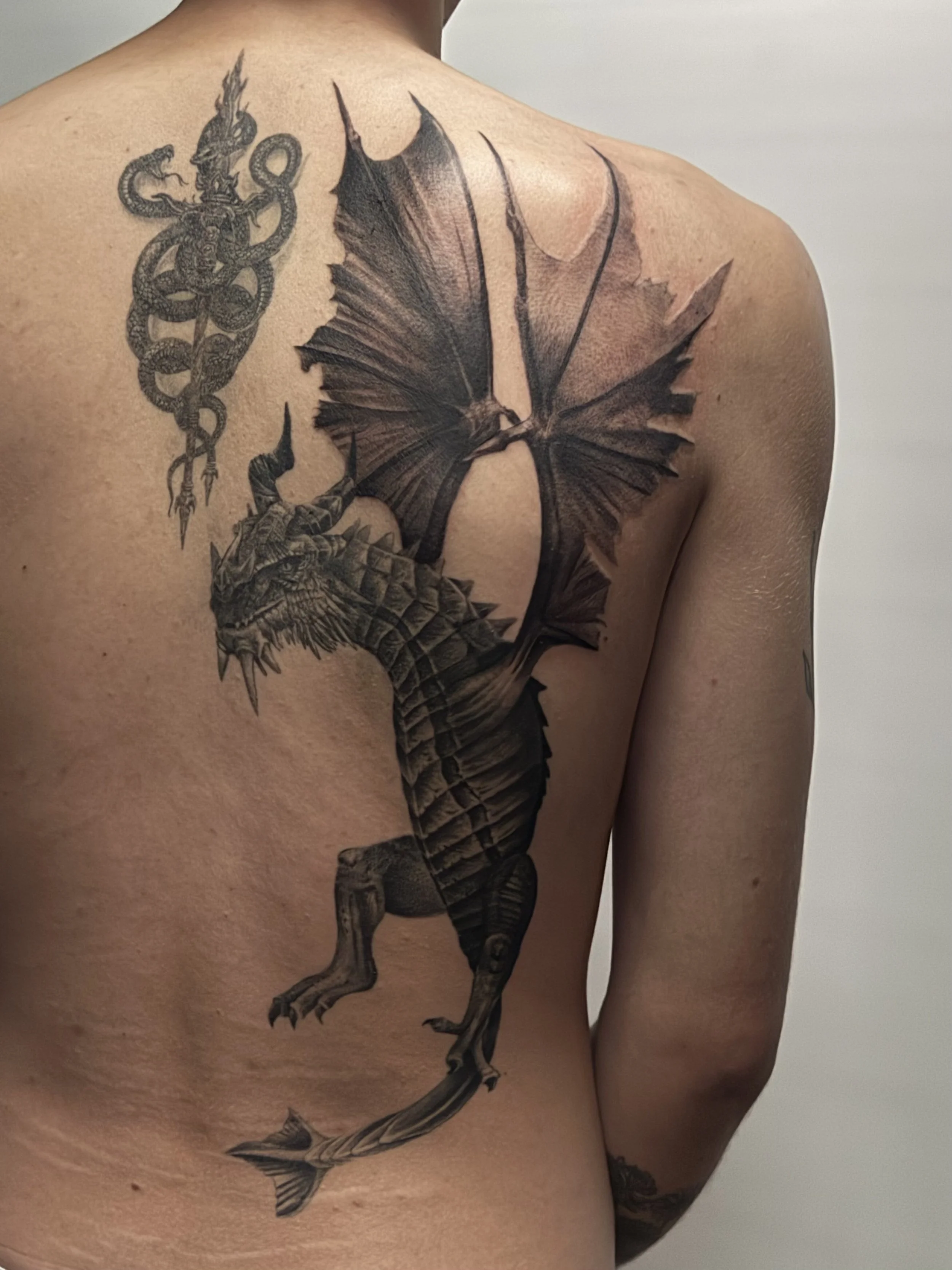 Tattoo of a dragon, butterfly, and fish on a person's back and shoulder.