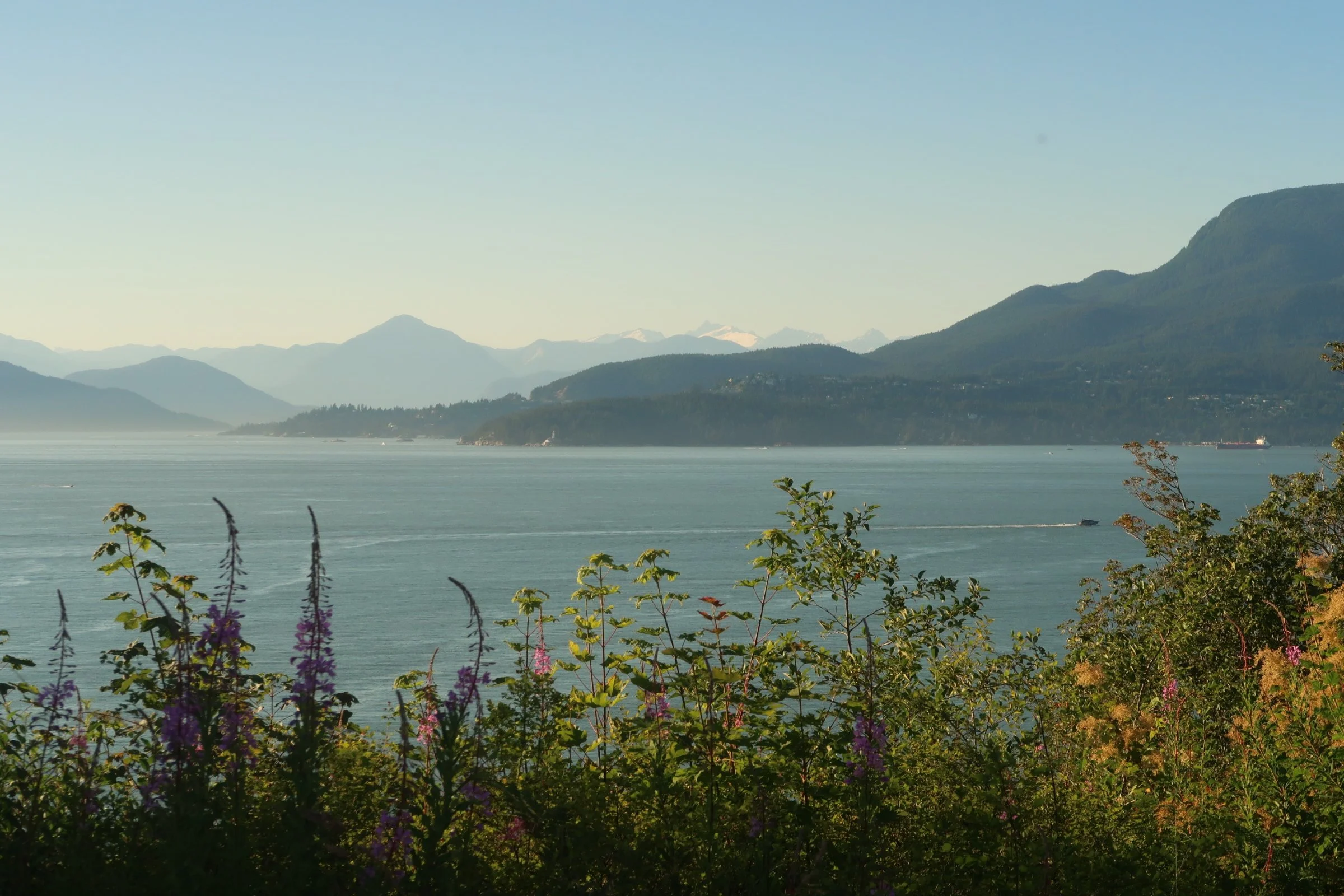 VancouverMountain.JPG