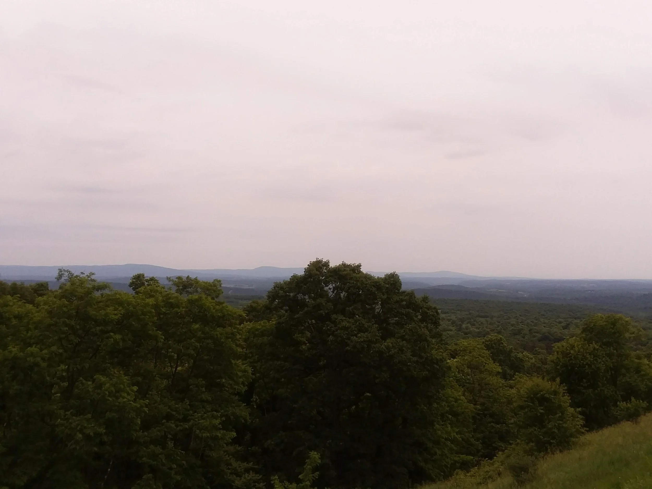 20180608_134846(0)_Original.jpeg