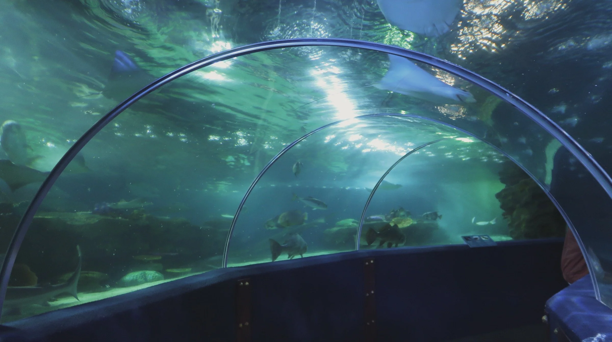 ClevelandAquarium.jpg