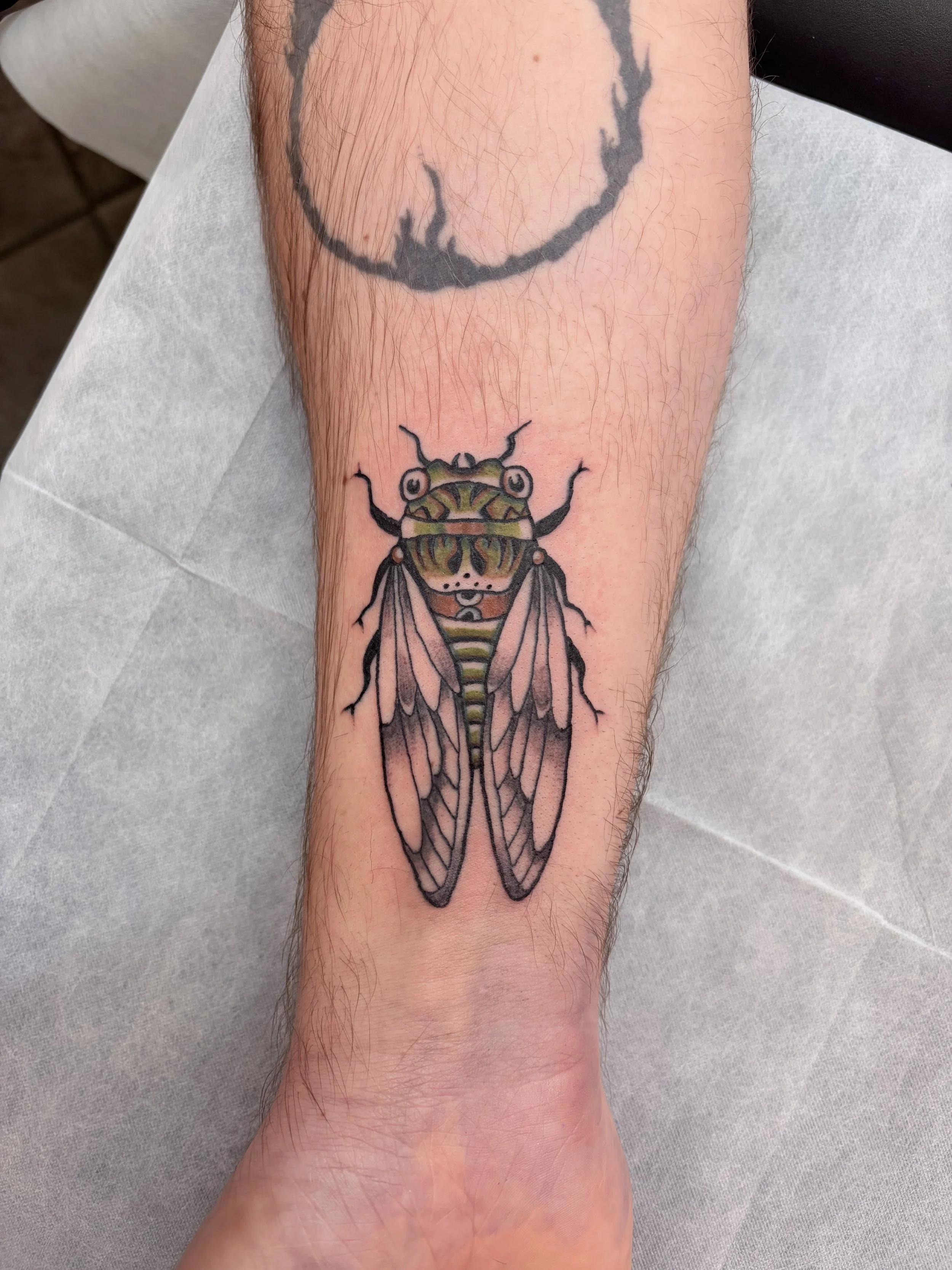A tattoo of a cicada on a person's lower leg.