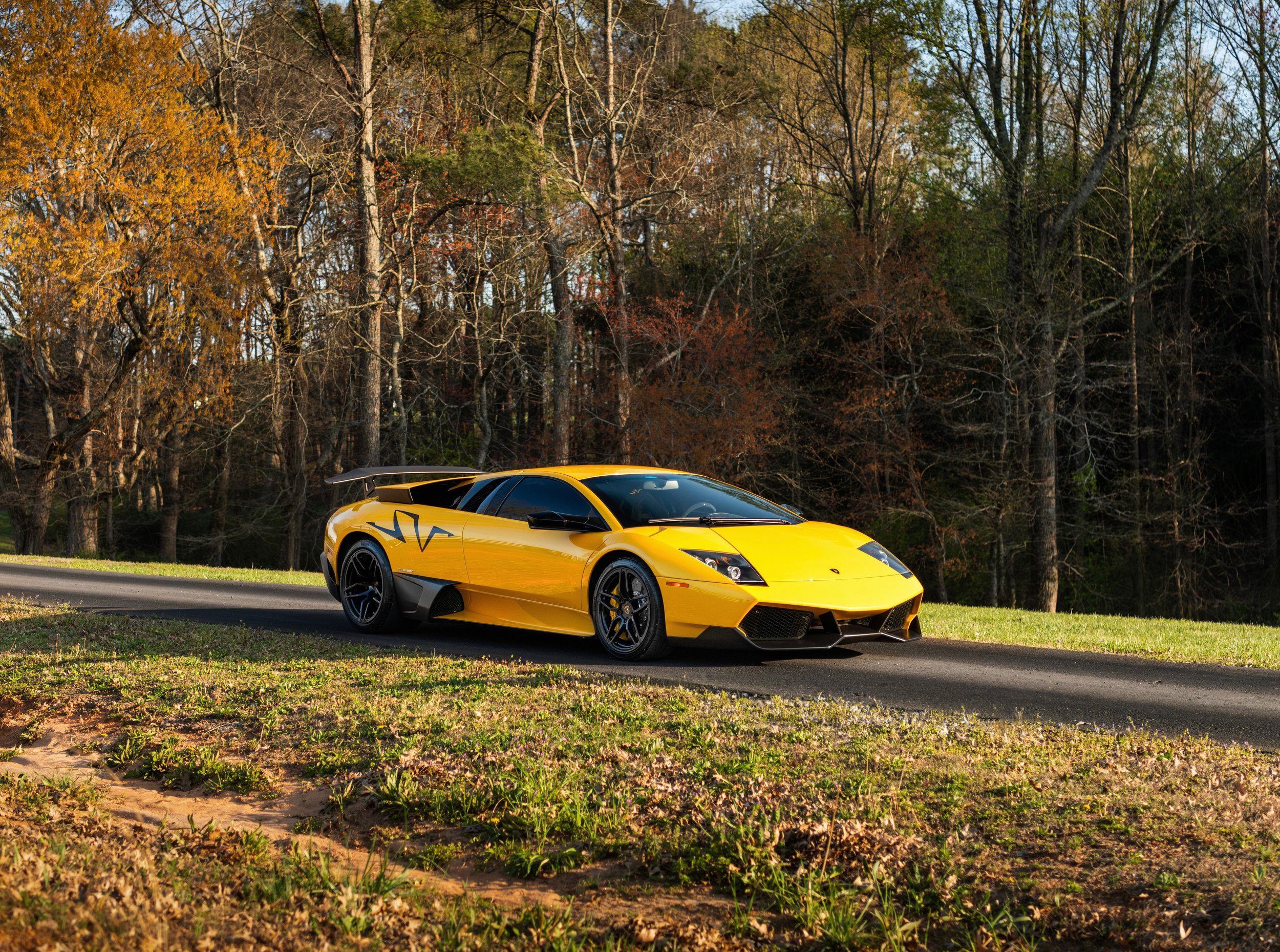 9D52DCF9-A59B-4D28-964C-35C7F16A2141 2.jpeg