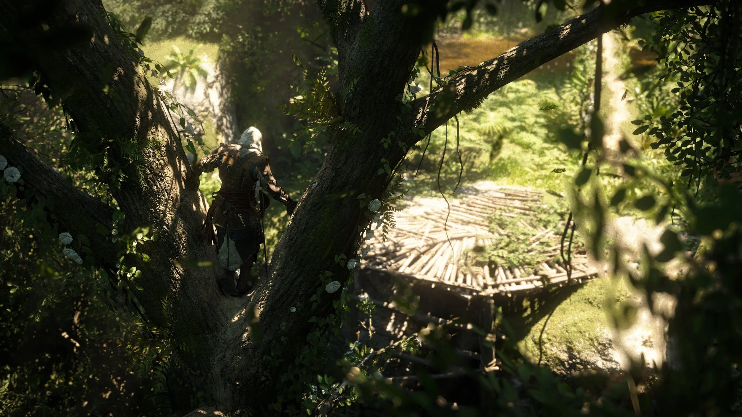 Assassin's Creed Black Flag Resynched (Game Capture)