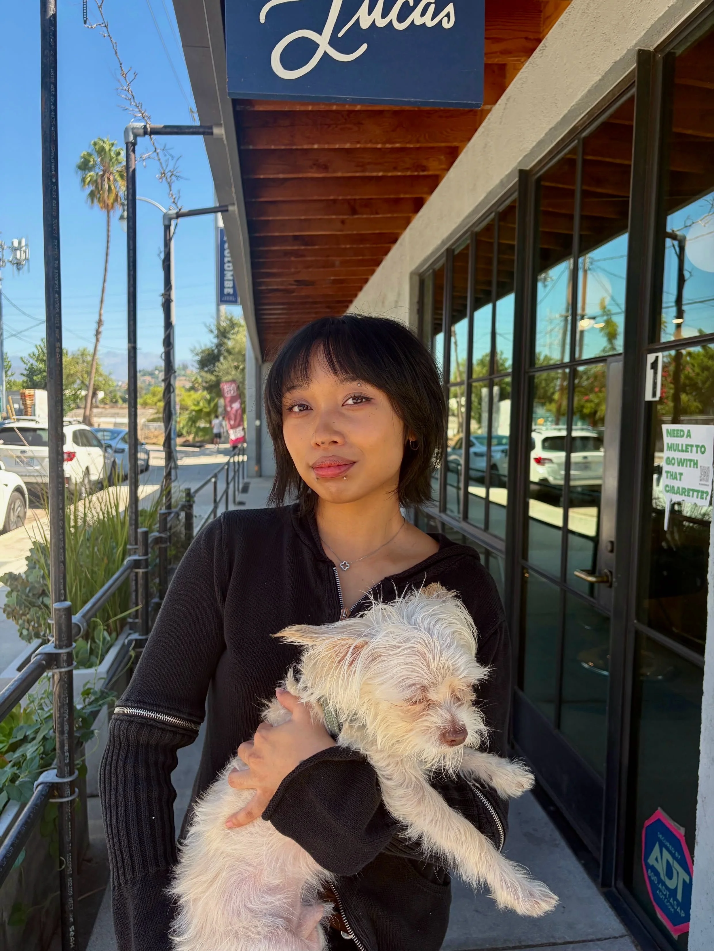 Such a cutie bixie moment on @critdmgcara (ft. the perfect Pickles) #haircut #losangeleshairsalon #losangeleshairstylist #hair #frogtown