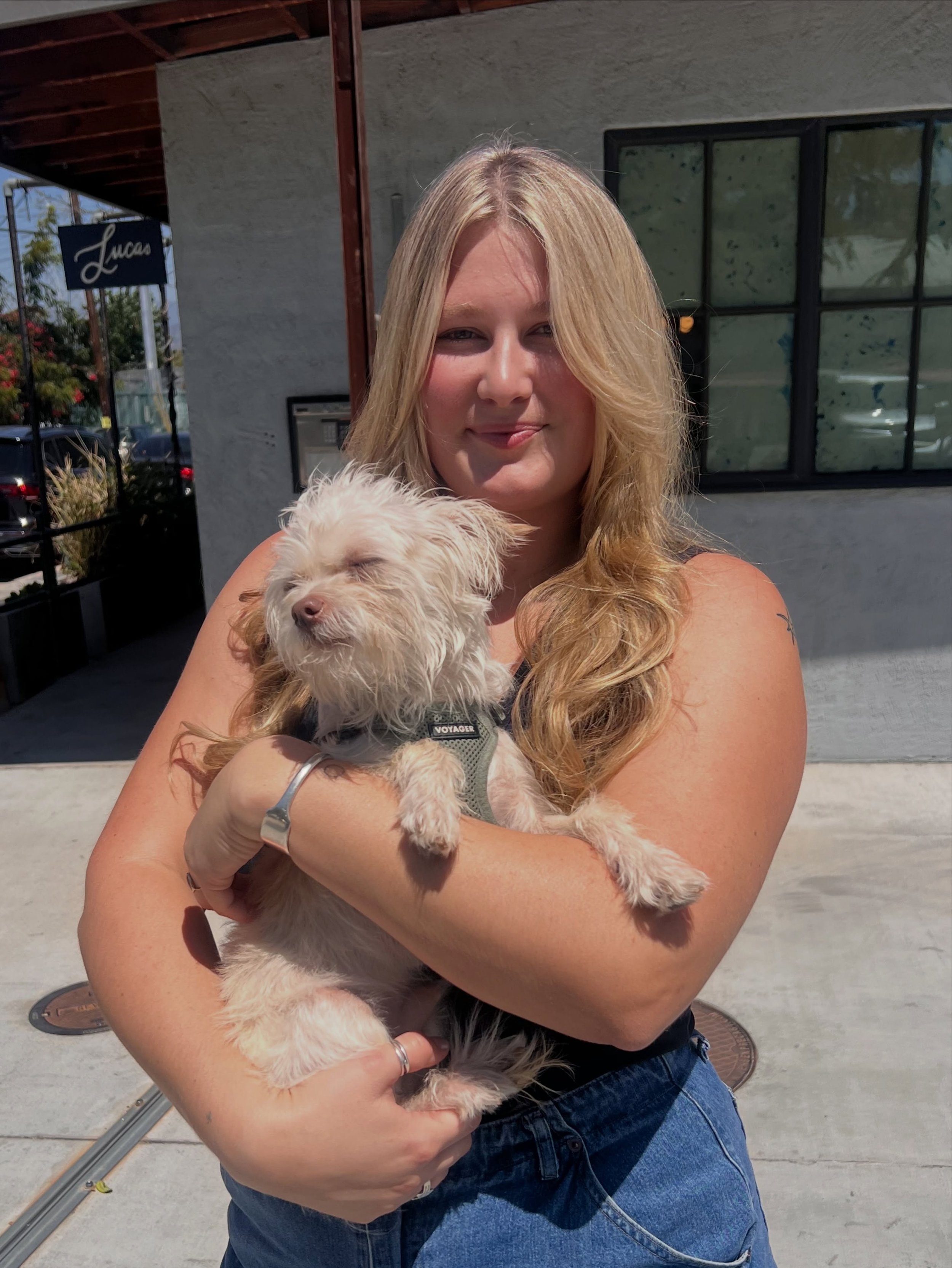 Bathing in these sunshiney days with this beautiful bright blonde by Raquel on @reallifesizedcashier ( and of course our employee of the month @foxymrpickles) ☀️🌻😎

-

#blondehighlights #losangeleshairstylist #lahairsalon #blonde #hairinspo