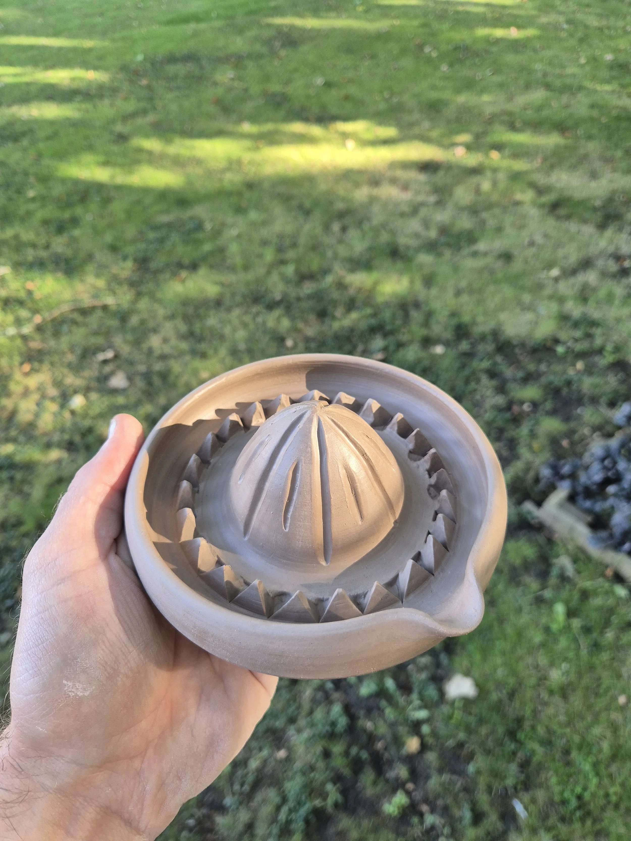 A hand holds a beige-colored metal citrus reamer with a ridged, conical design, against a blurred background of green grass and patches of sunlight.