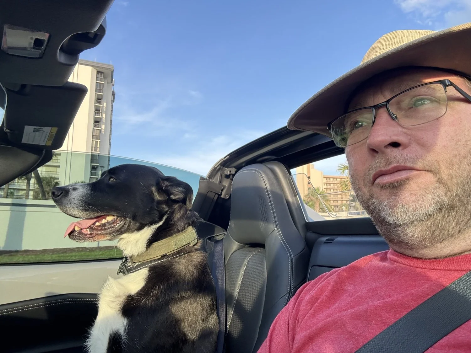 Pinky Rides Shotgun: Our Service Dog and the Mazda Miata