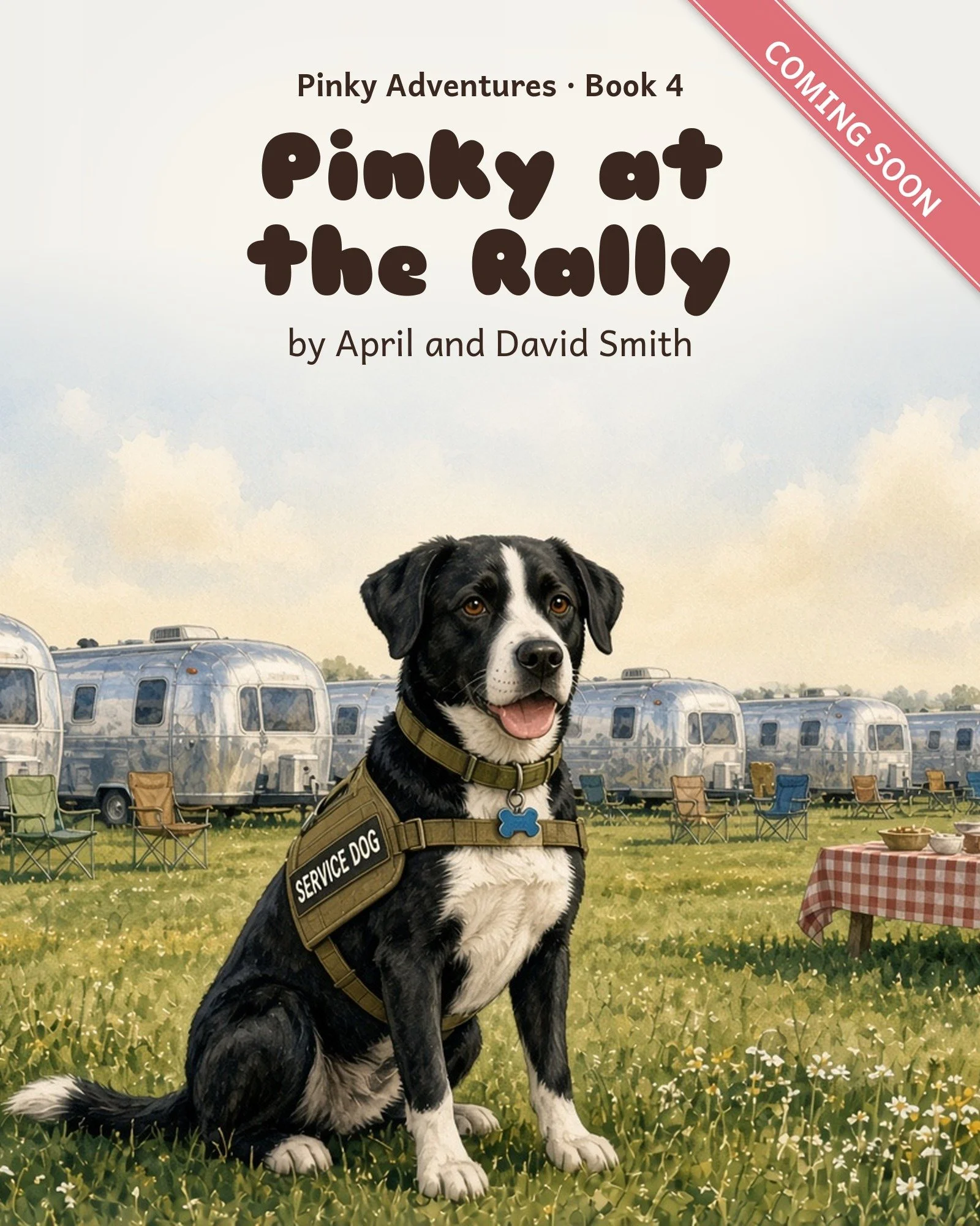Pinky at the Rally cover