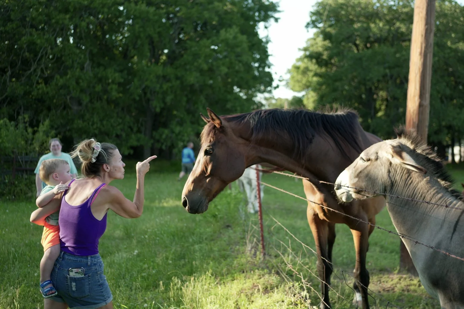 Gigi holding Knox and pointing out a horse and a donkey over the fence