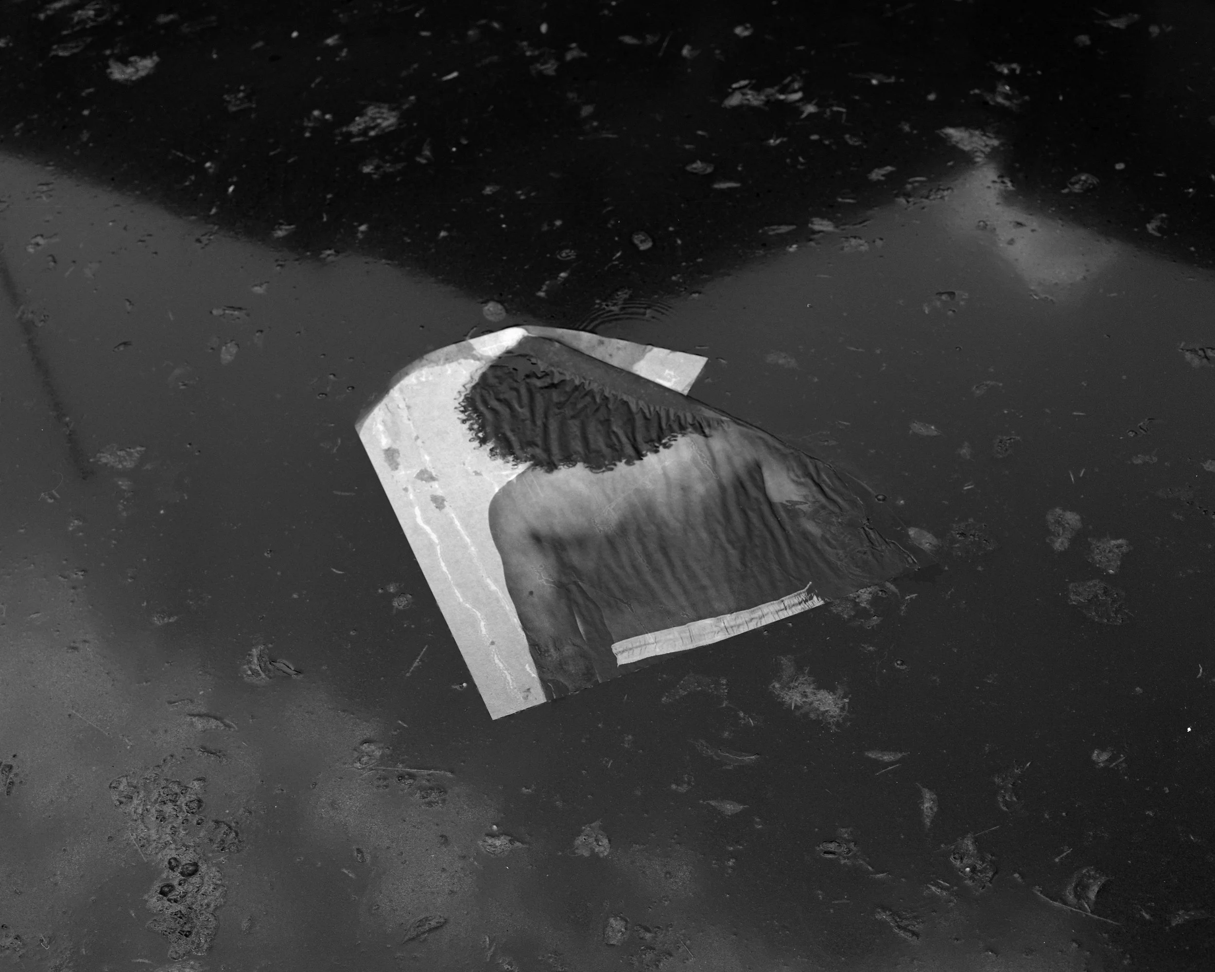 SOURCES  of  SELF-REGARD (ABOVE  by  RAHIM FORTUNE) →