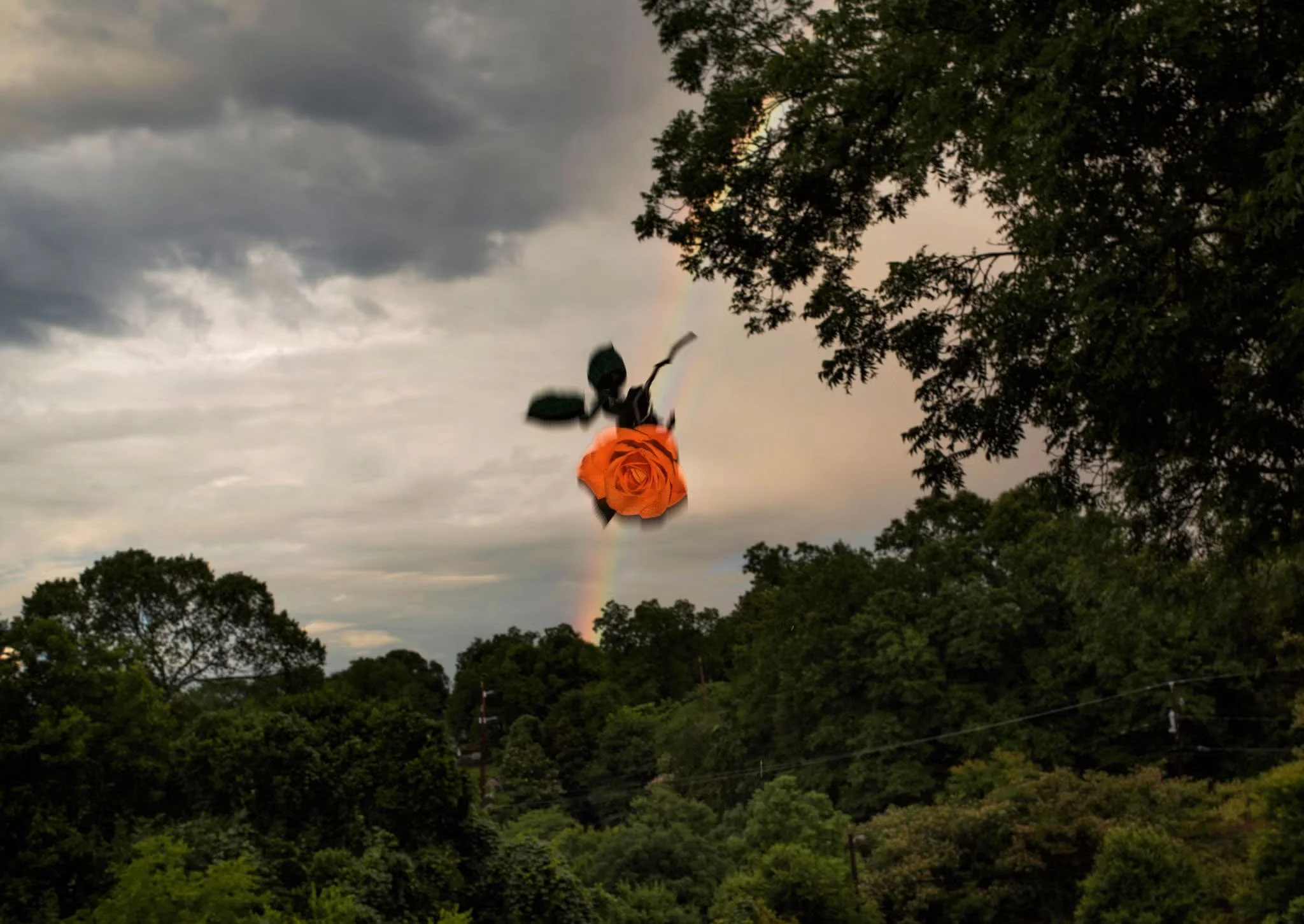 THE QUOTIDIAN  and  THE SURREAL (ABOVE  by  IRINA ROZOVSKY) →