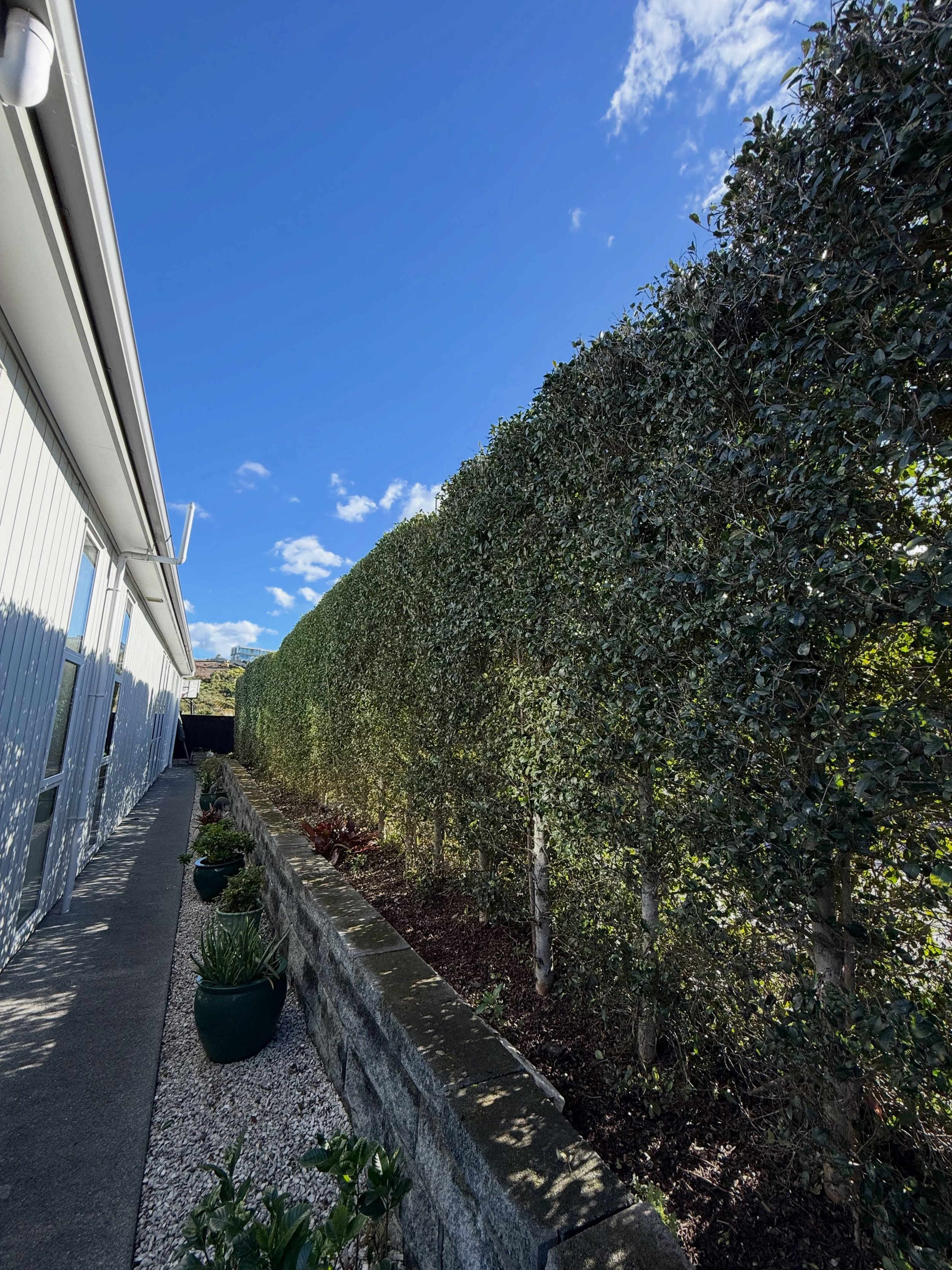 🌸 Spring is just around the corner! 🌸 

As we gear up for the new season, it&rsquo;s the perfect time to start thinking about your garden and tree maintenance. Plan ahead and schedule your native trees for pruning by the end of August&mdash;winter 