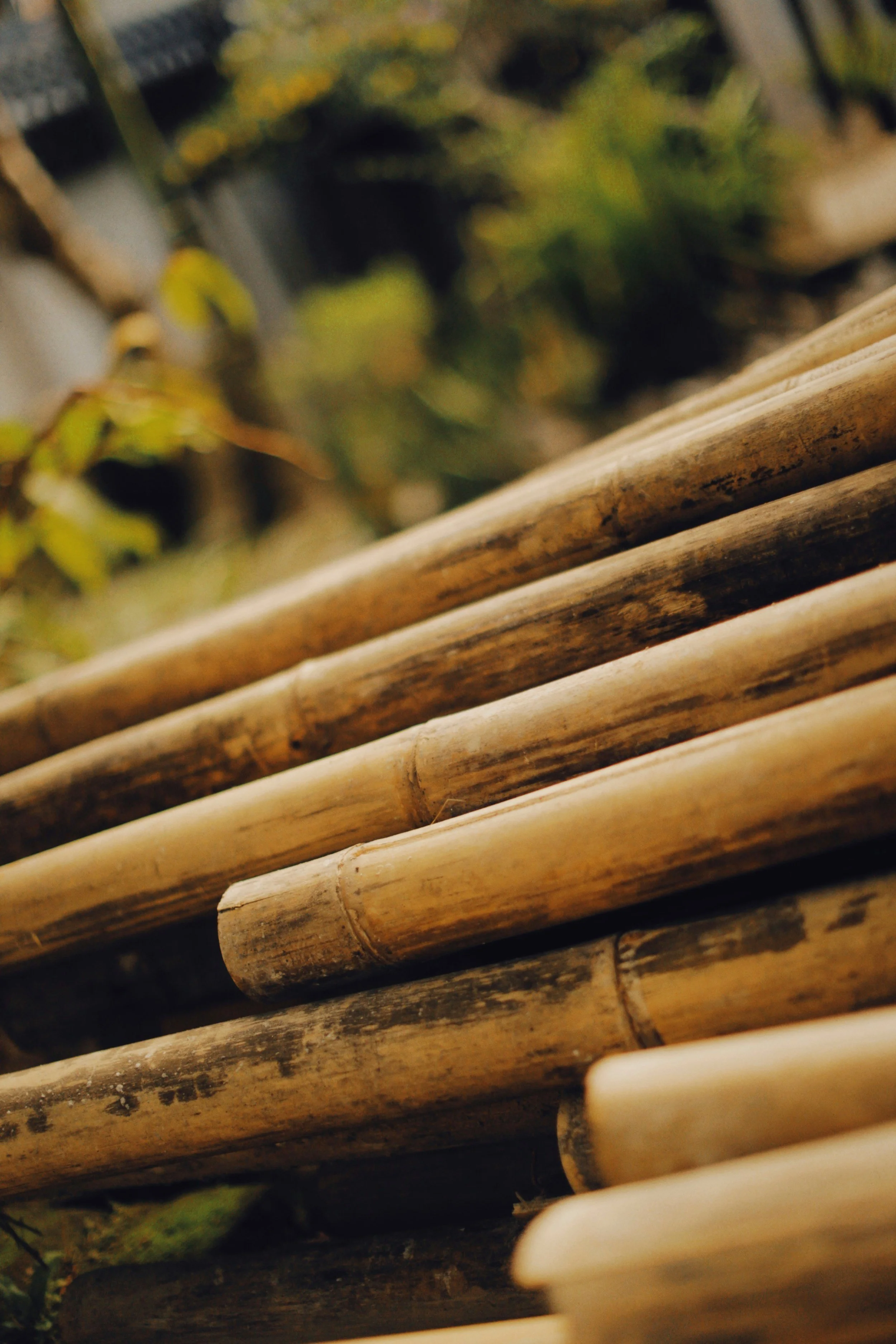 Close-up of the edge of a bamboo or wooden slatted surface with blurred greenery in the background.