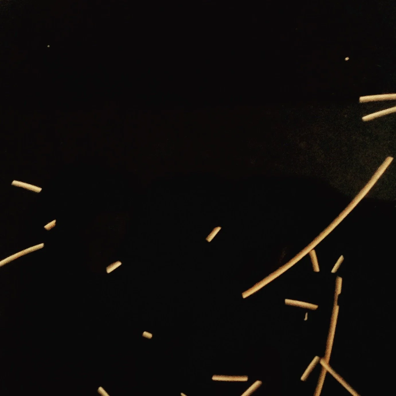 IMG_1210.JPEG