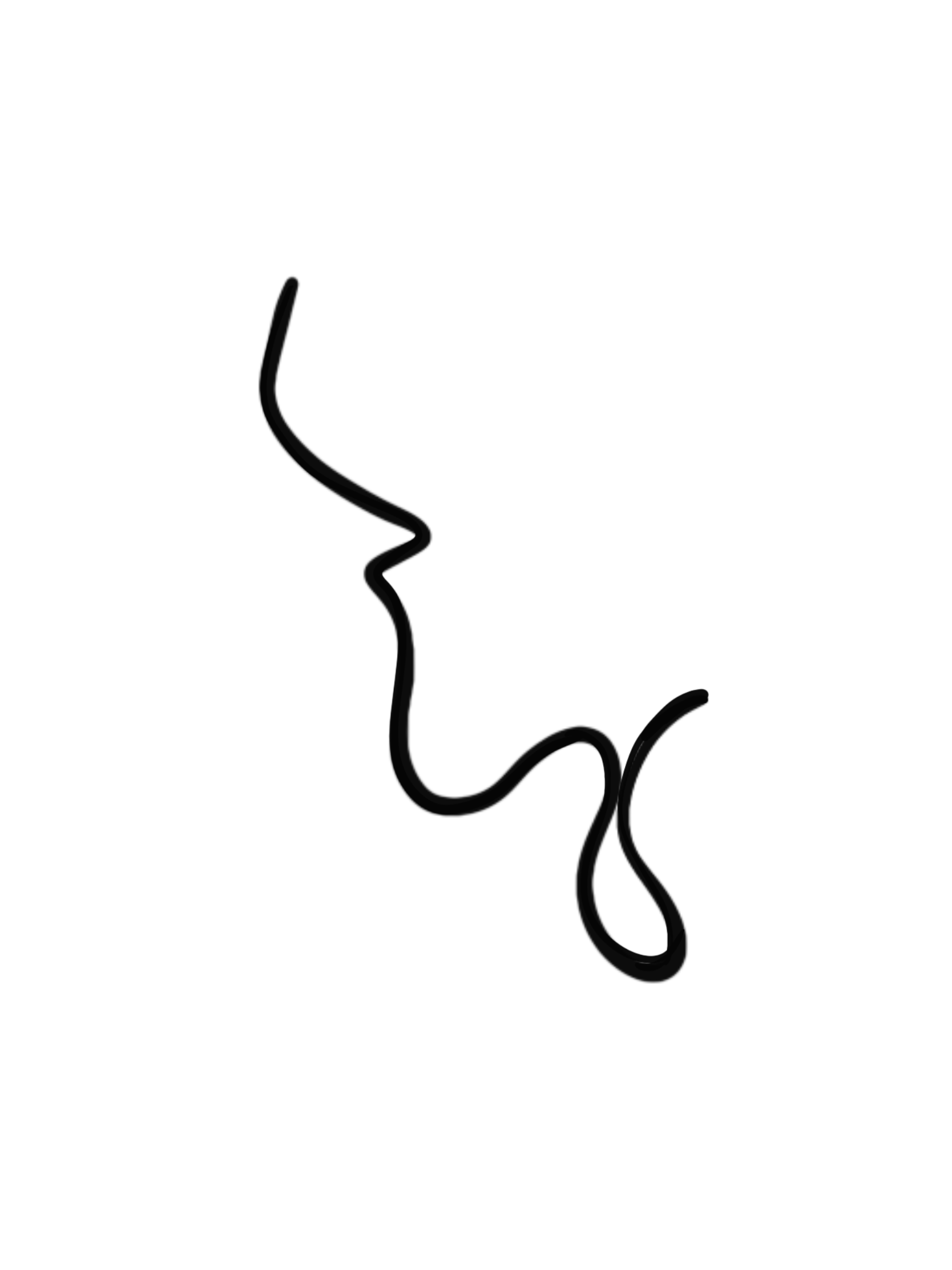 Untitled_Artwork 4.png
