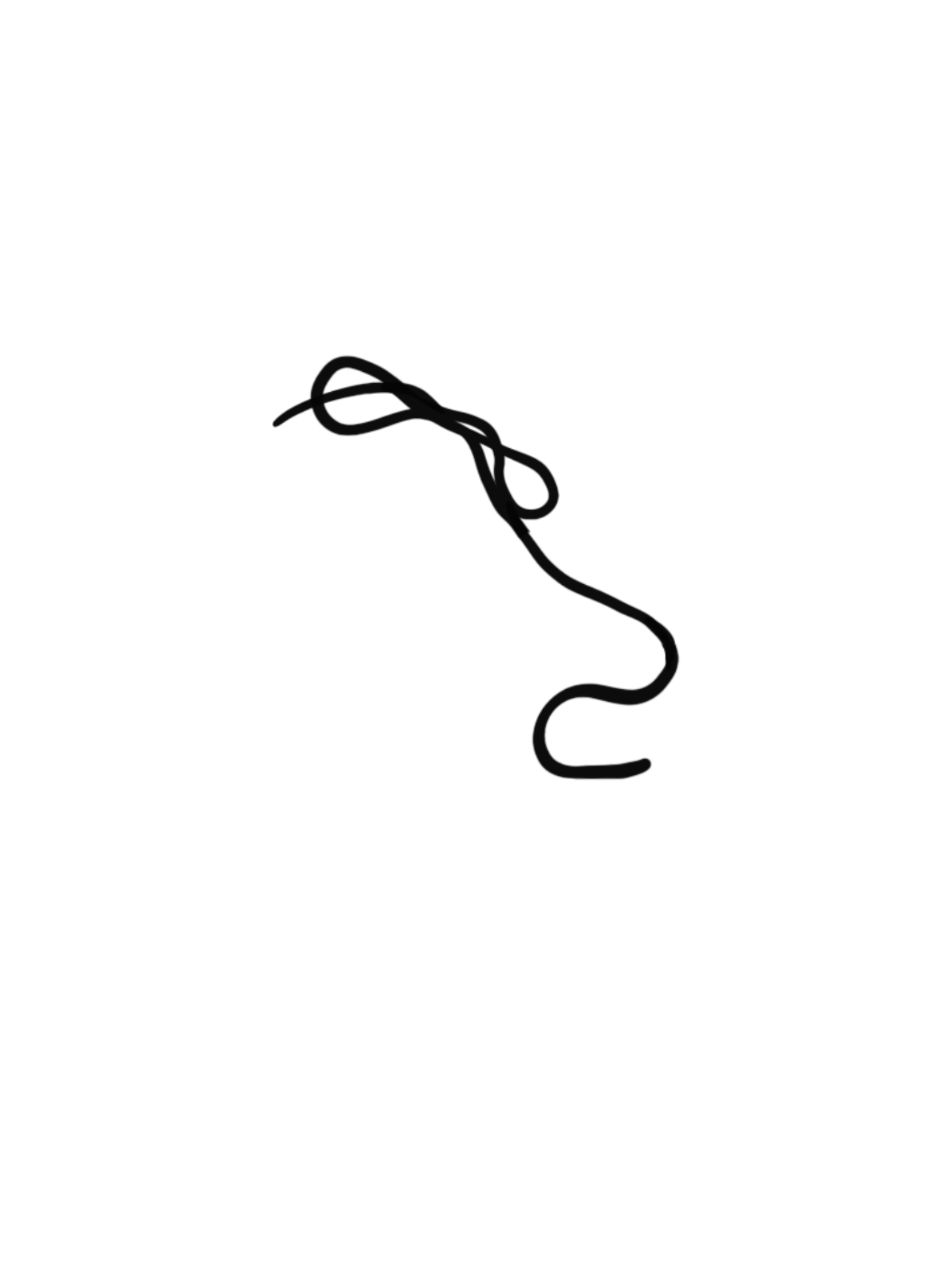 Untitled_Artwork 7.png