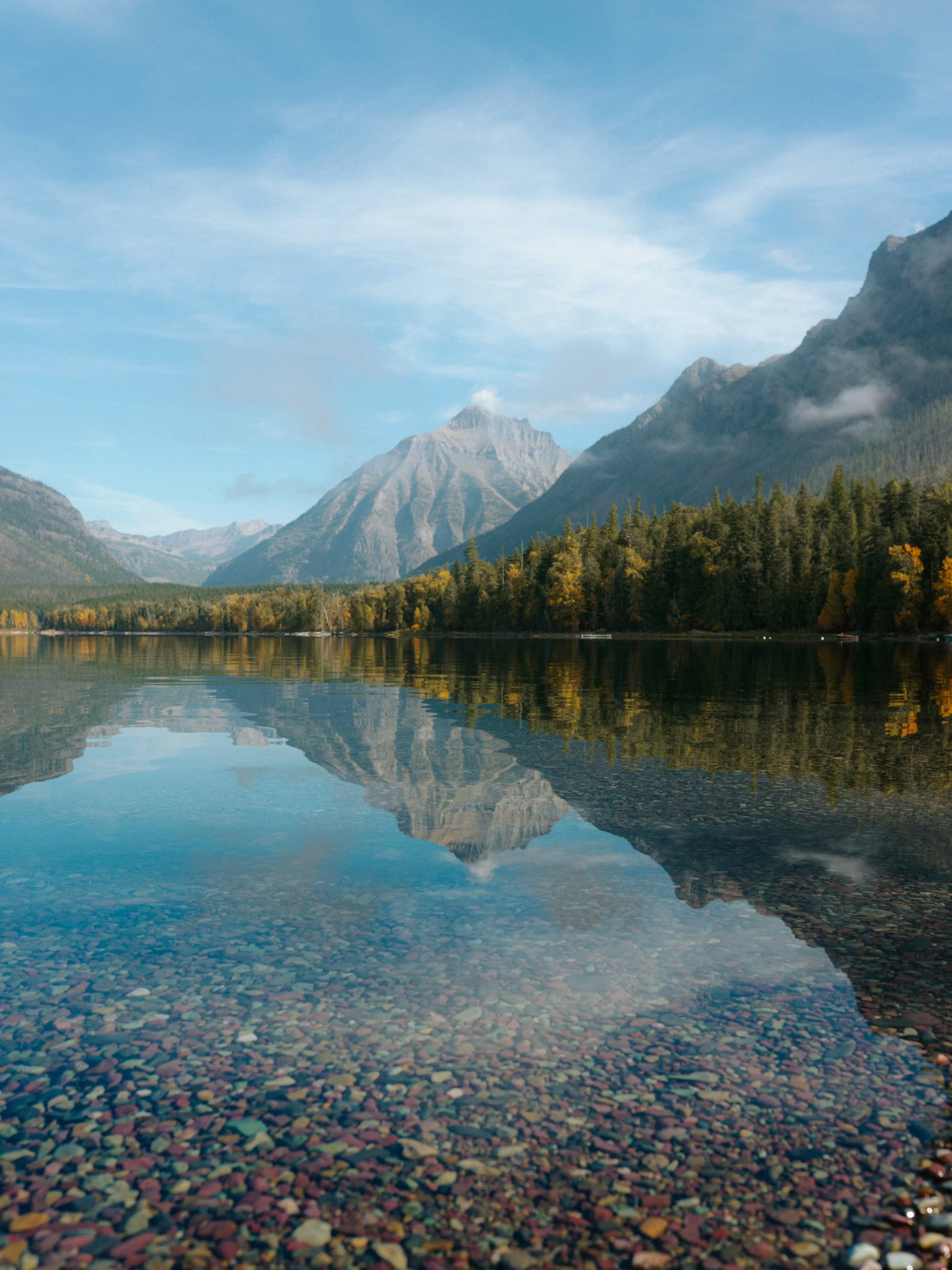 postcards from montana. nothing more, nothing less. 🌲🏔️