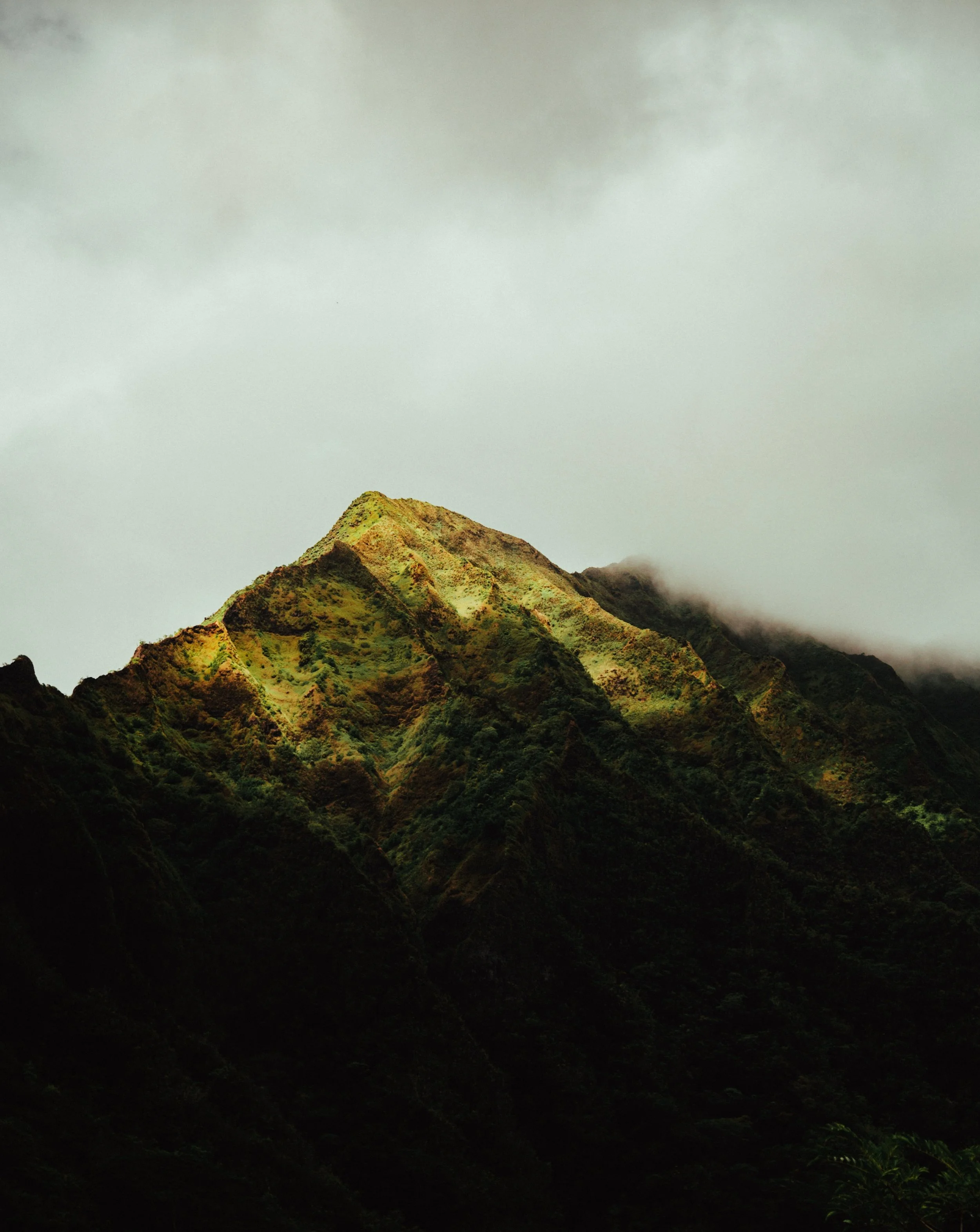 this thing on? missing photography a lot recently. see you soon

randoms from hawaii two-ish years ago.