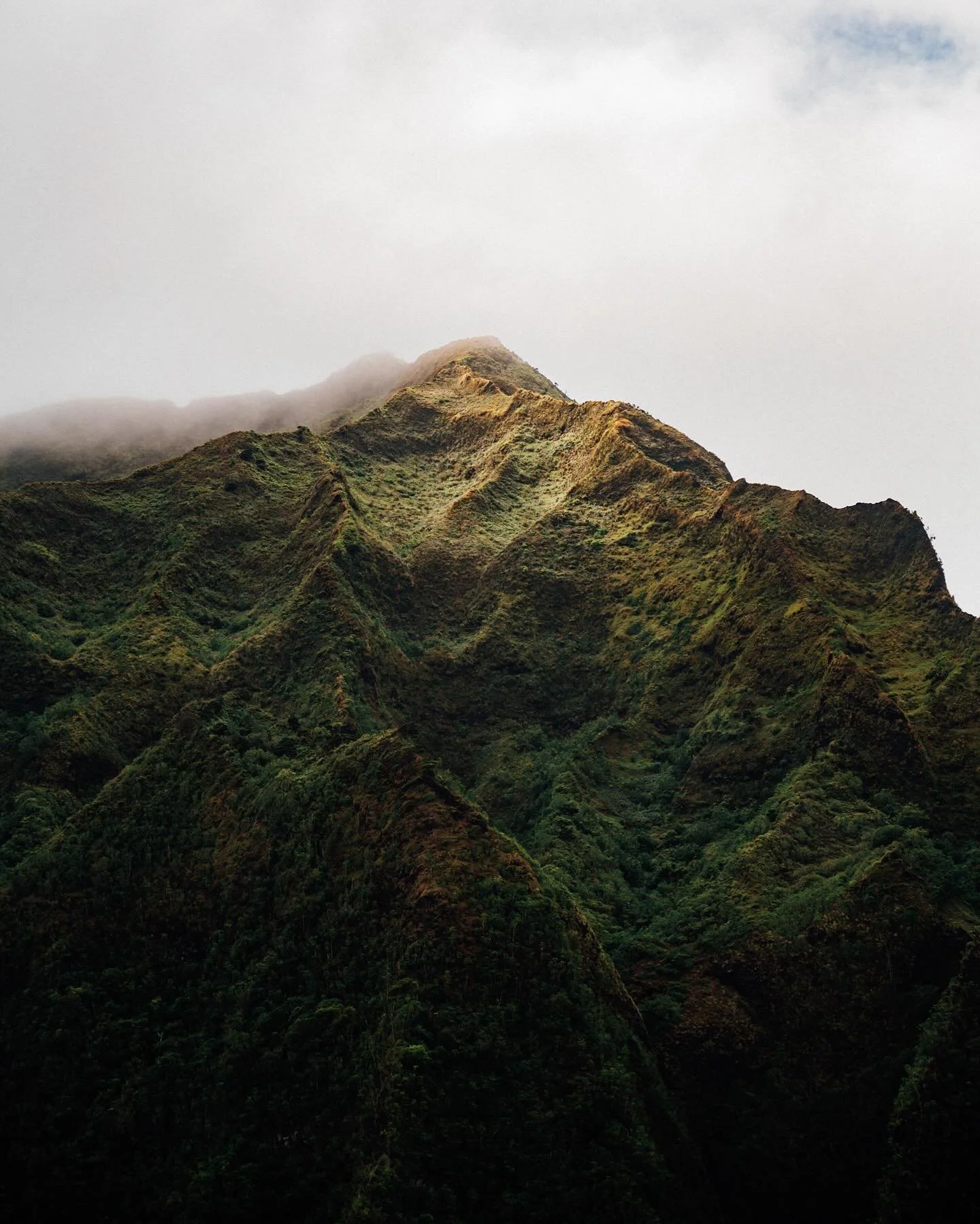 Don't seek happiness&ndash;create it 
#hawaii #hawaiisbestphotos #naturephotography #photo