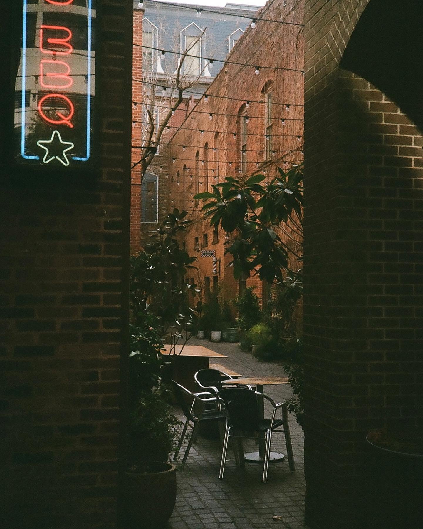took some film photos a couple weeks ago