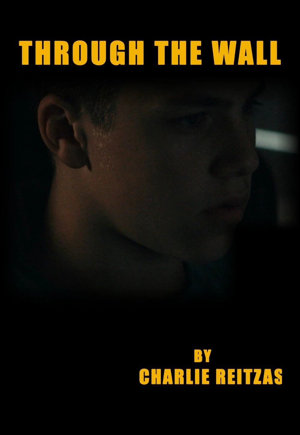 Poster for Through the Wall, a short film by Charlie Reitzas