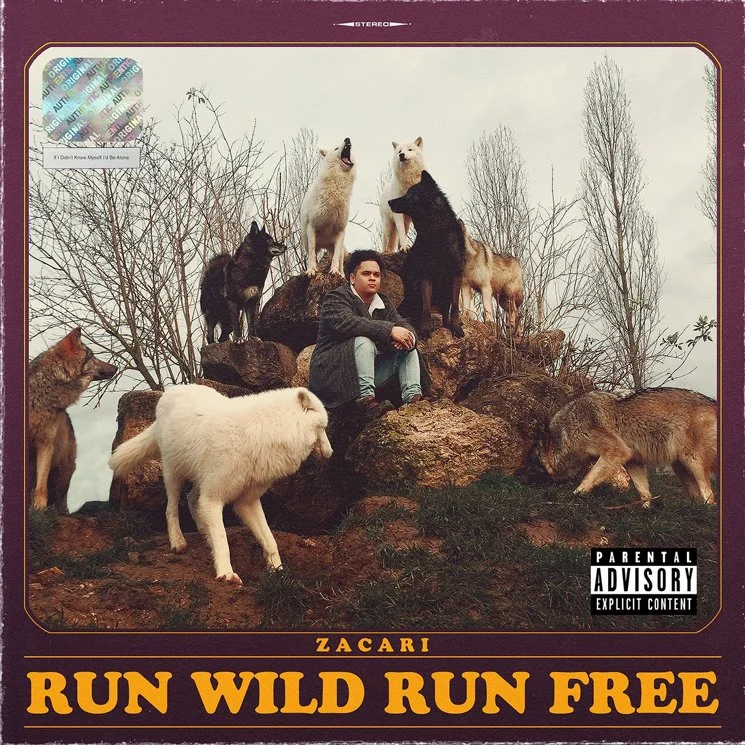 143310-run-wild-run-free-4215553097.jpg