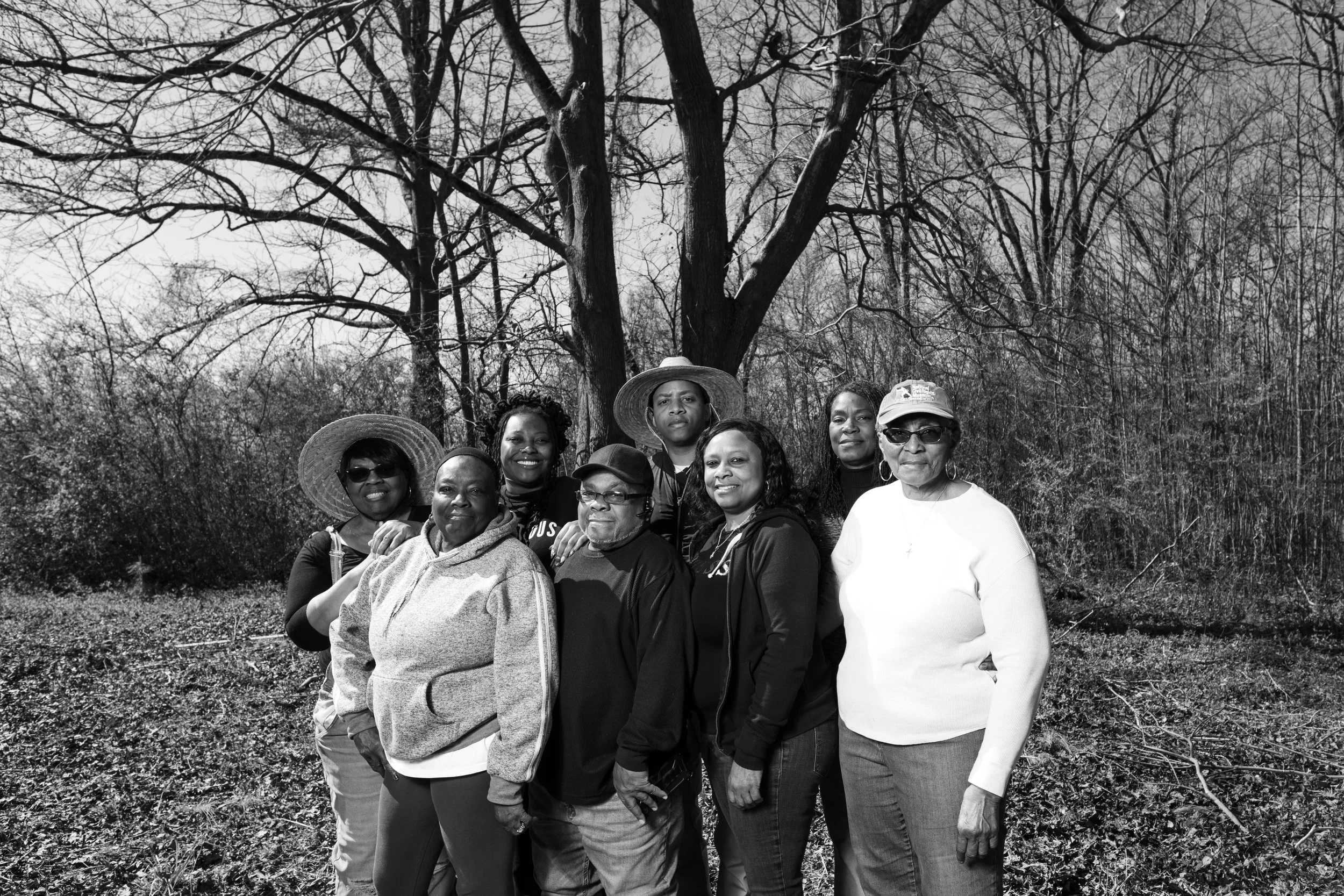 Doris Heirs