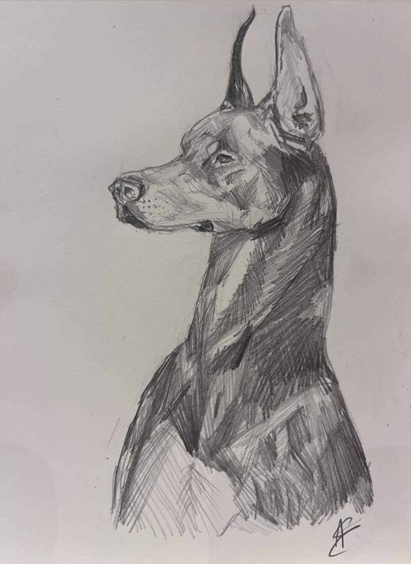 Great Dane