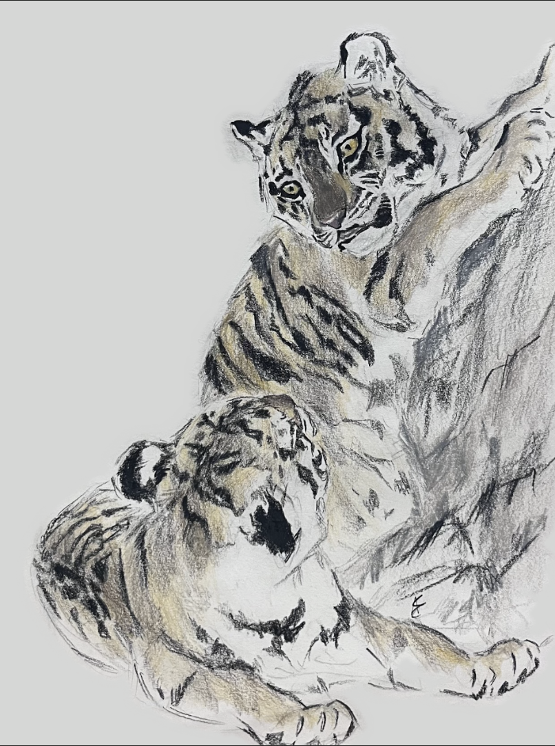 Tiger Cubs