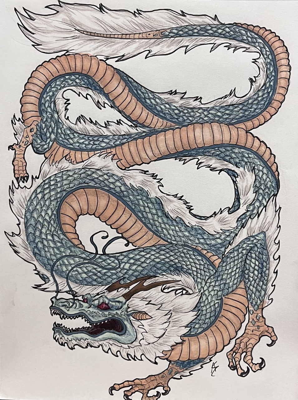 Dragons