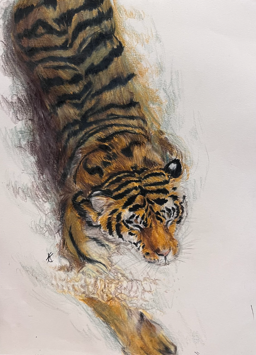 Wildlife