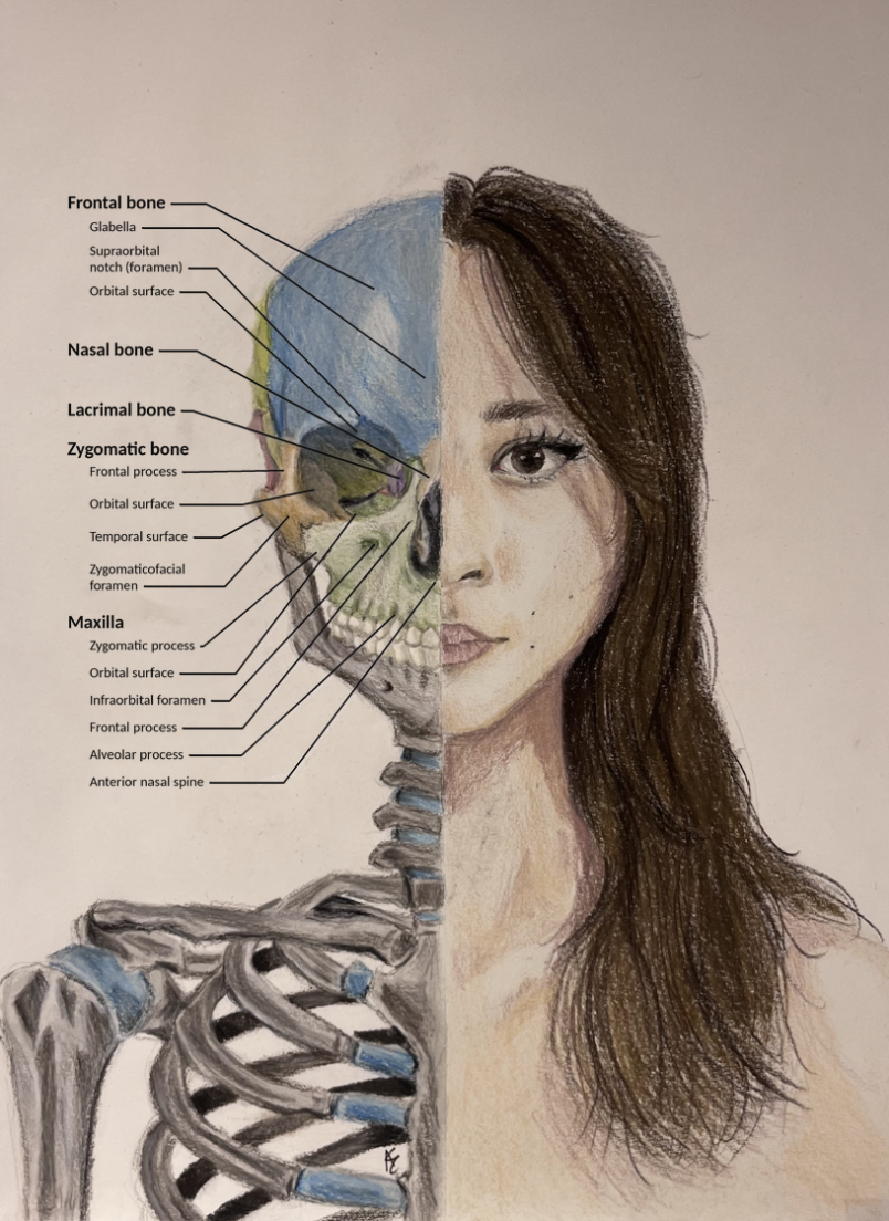 Self-Portrait (Text was digitally overlayed)