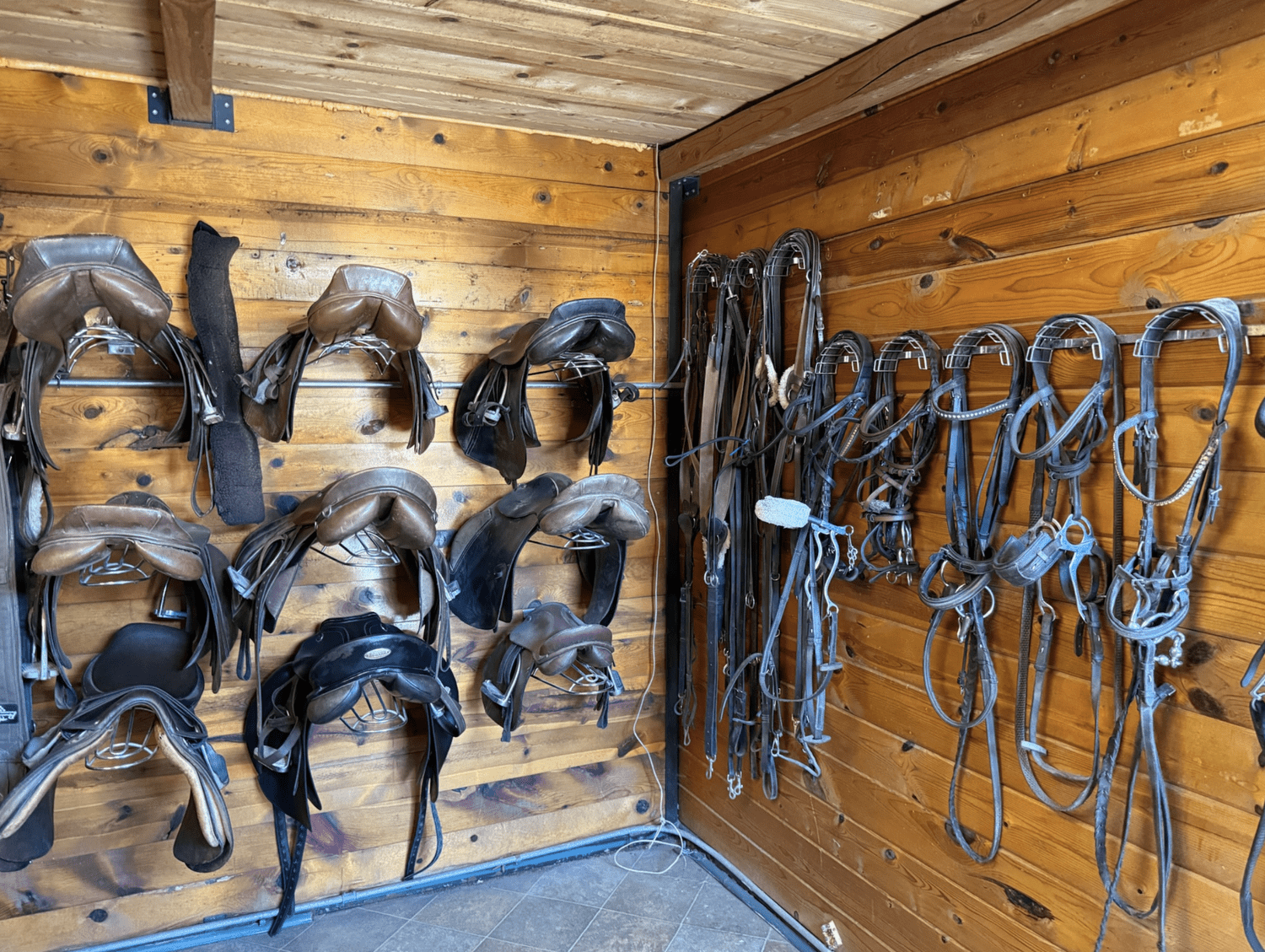 A room with wooden walls and ceiling displaying horse riding equipment, including saddles on metal racks on the left side and various bridles and halters hanging on hooks on the right side.