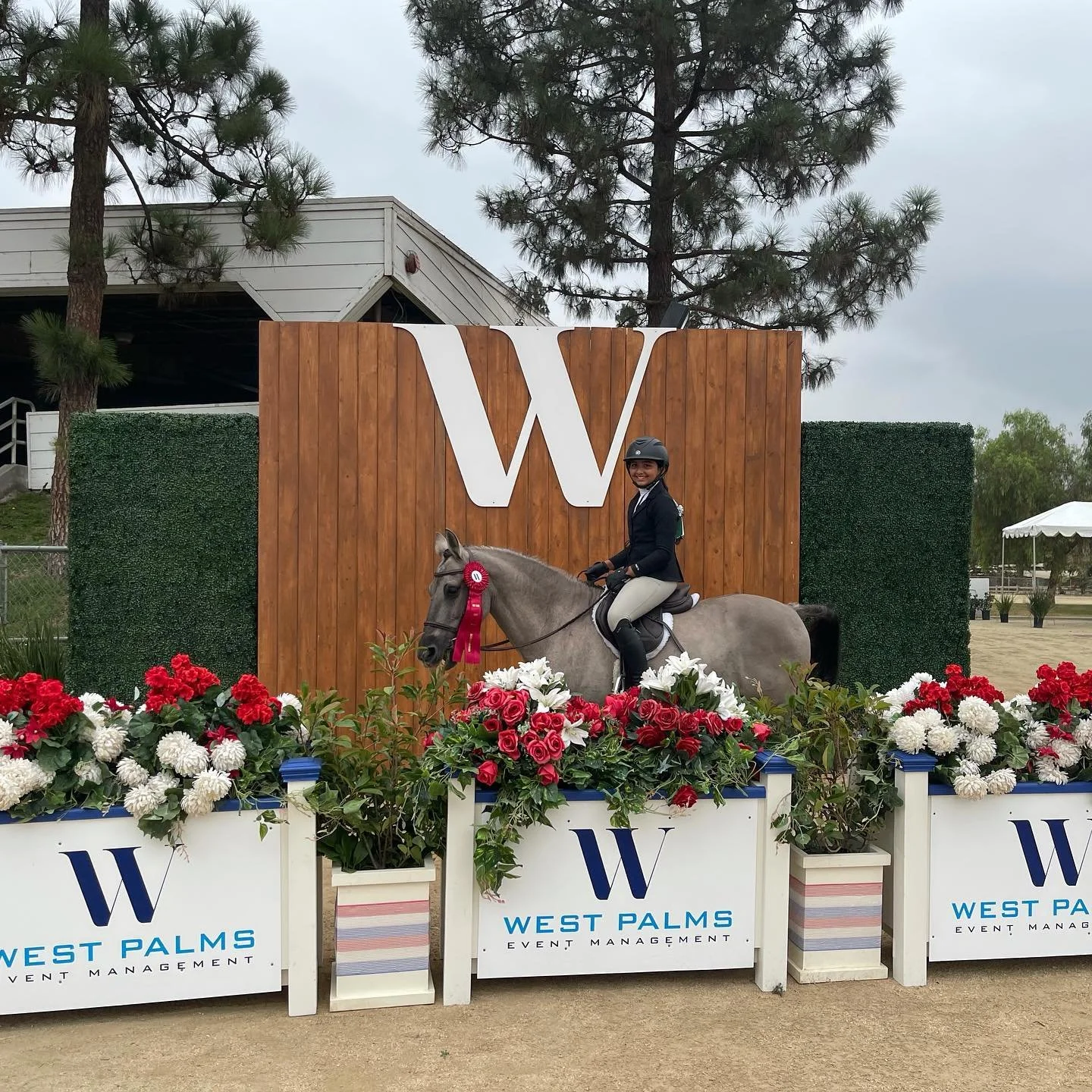 A young woman in riding attire and a helmet riding a gray horse with a red ribbon in its bridle in front of a large wooden wall with a white W logo, surrounded by flowers and signboards for West Palms Event Management.