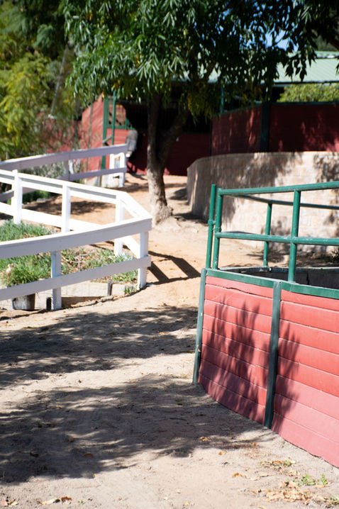 A dirt pathway with white and green metal fences on either side, trees casting shadows, and a red and beige painted concrete wall in the background.