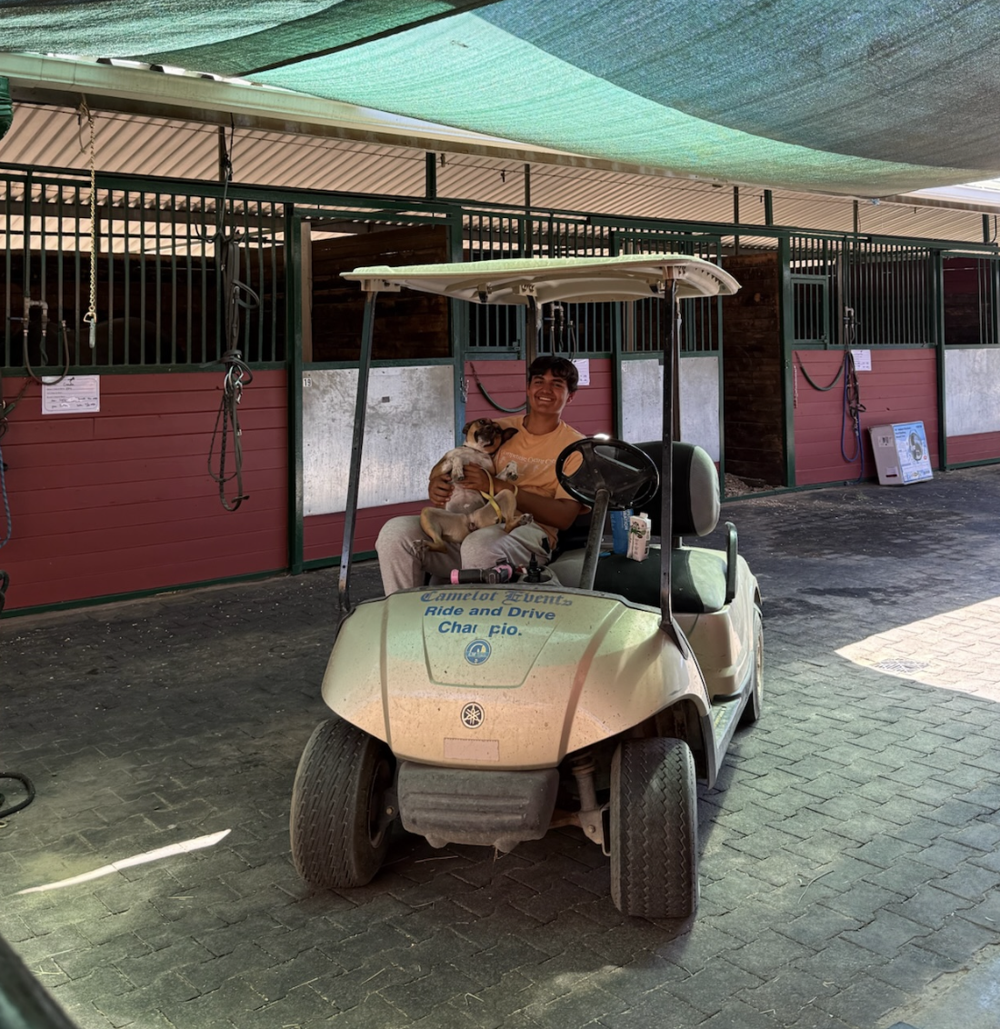 A person sitting in a golf cart holding a small dog at a horse stable.