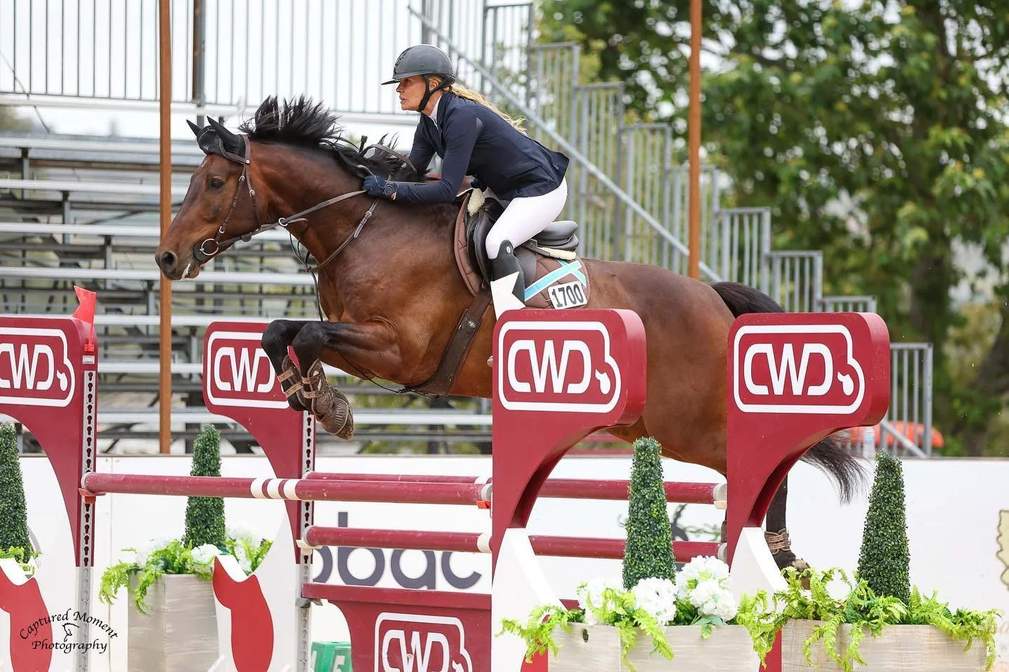 A female equestrian rider in a navy jacket, white breeches, and a helmet is jumping a brown horse over a red obstacle with white and green decorations during a show jumping event.