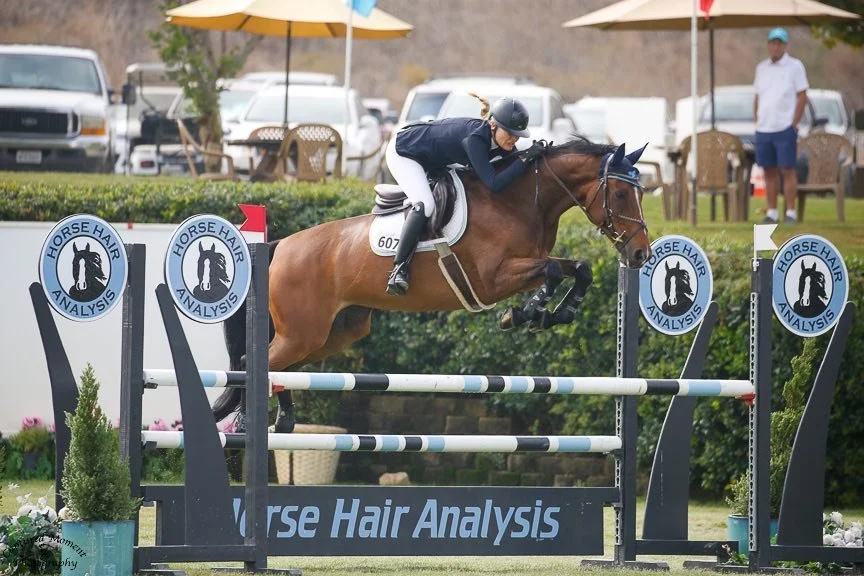 A horse and rider jumping over an obstacle in a show jumping competition.