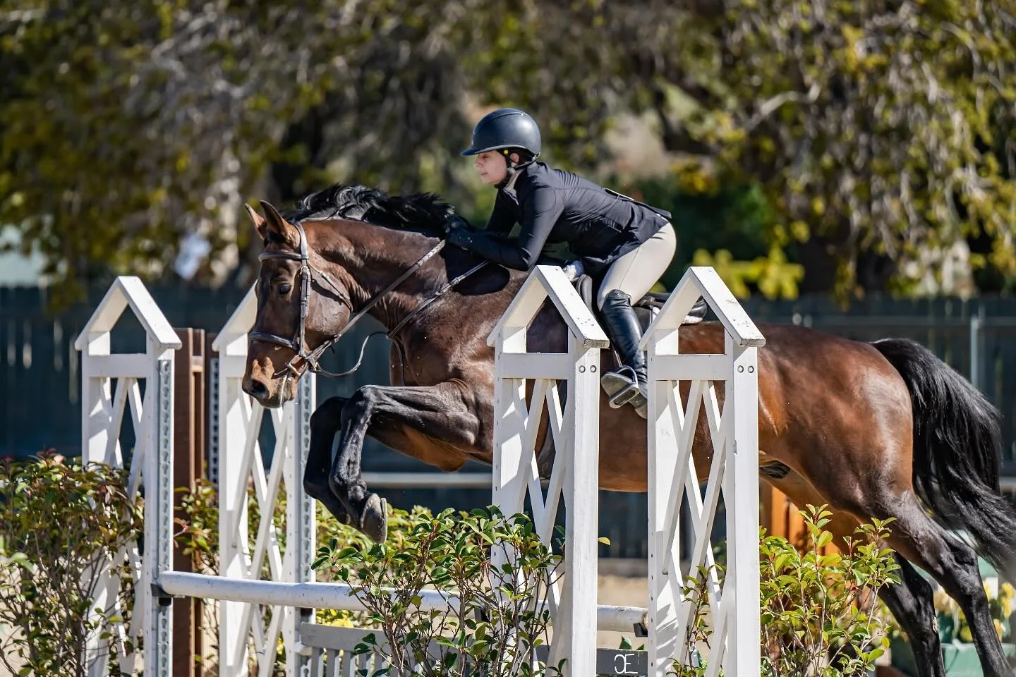 A female equestrian rider in black jacket and helmet riding a brown horse over a jump in a horse jumping competition outdoors.