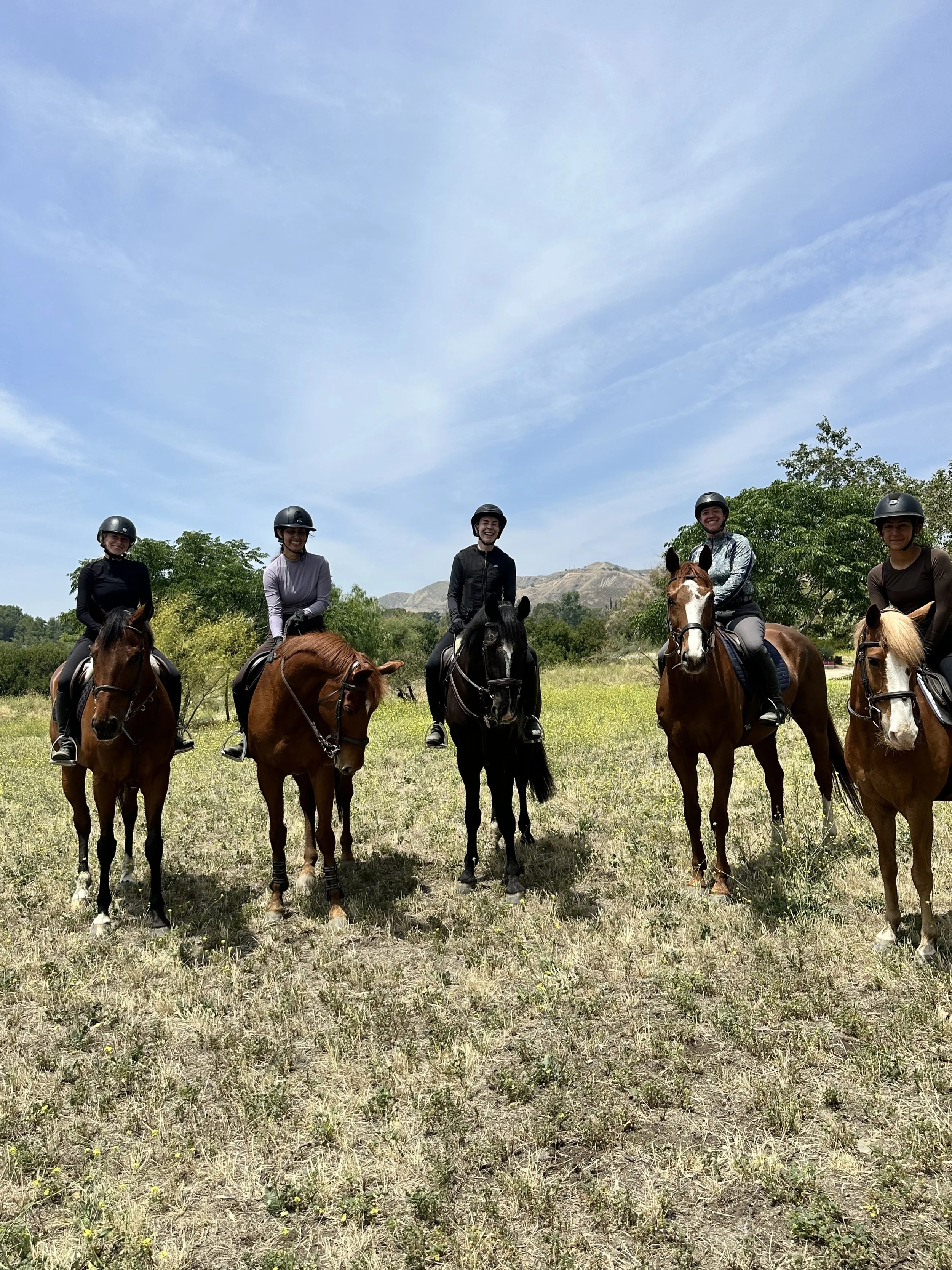 Five people riding horses outdoors, all wearing helmets, with trees and hills in the background under a blue sky with some clouds.