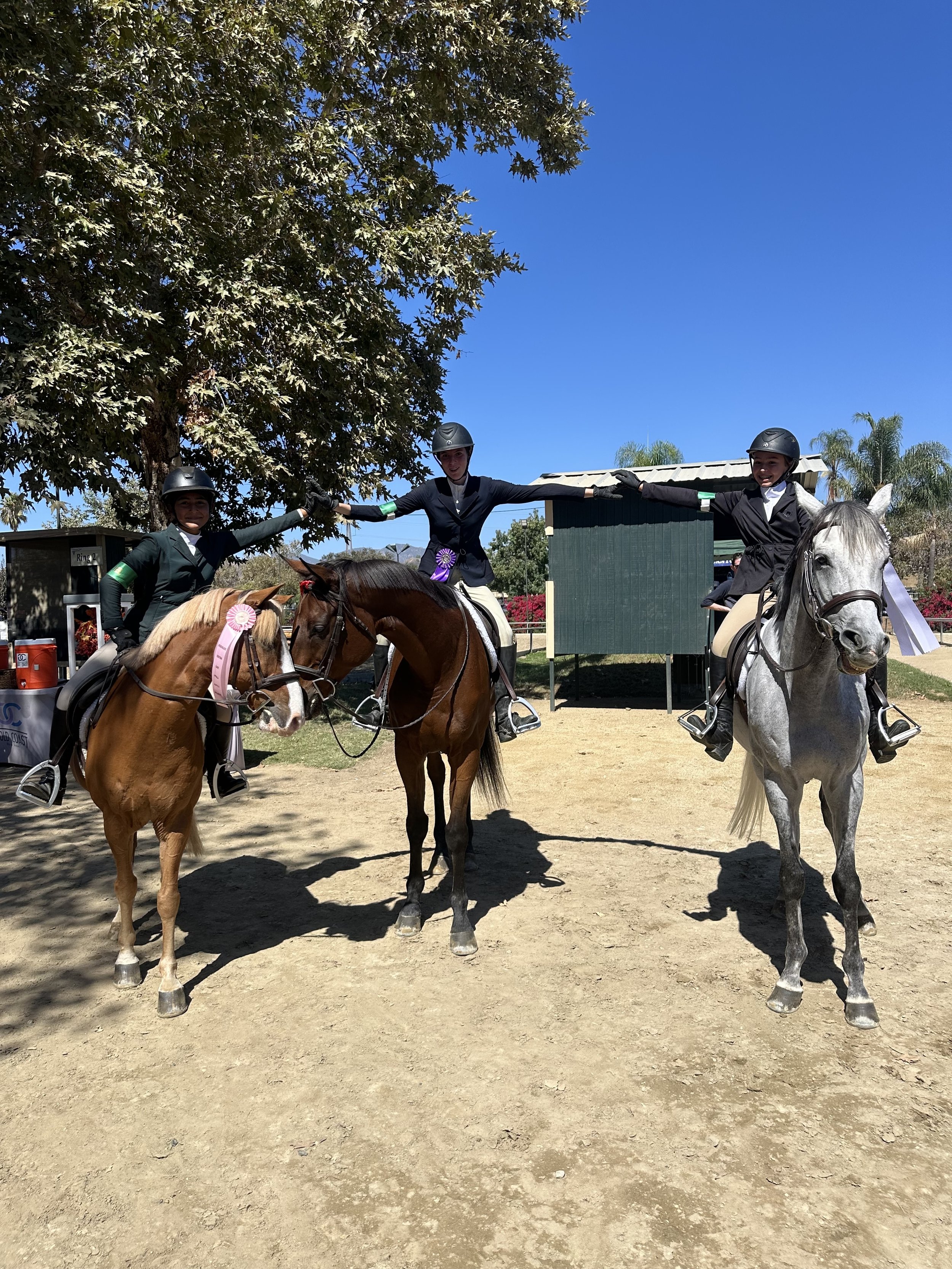 Three women riding horses at an outdoor equestrian event, participating in a competition, wearing helmets and riding gear, with medals and ribbons, standing on a dirt surface under a large tree, with a blue sky and green foliage in the background.