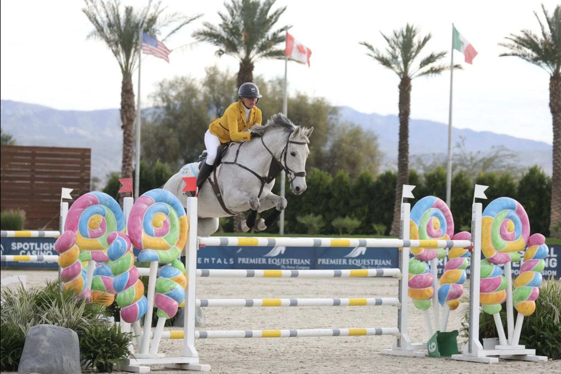 Horse and rider jumping over colorful obstacle at equestrian event with American, Canadian, and Italian flags in the background.