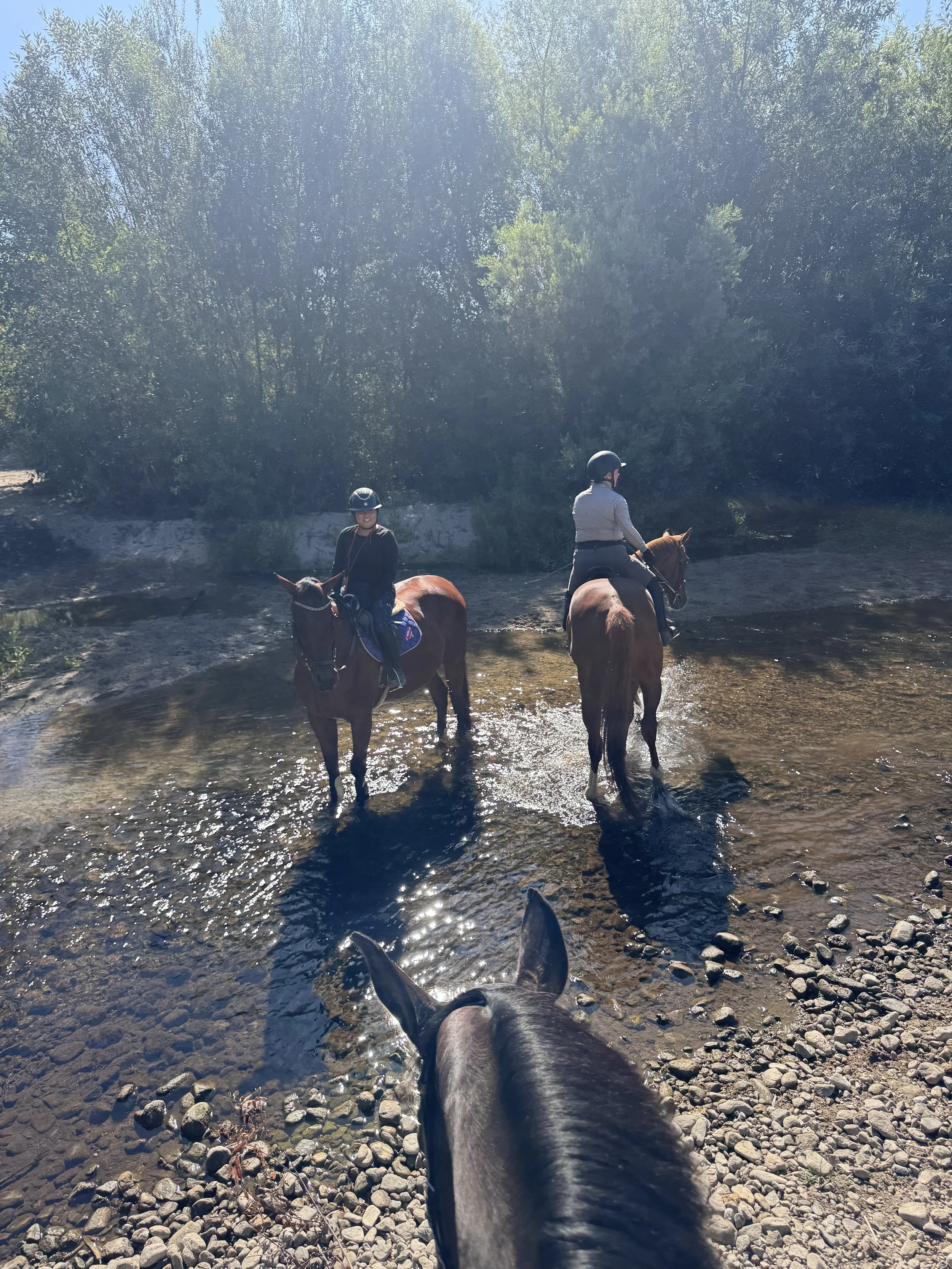 View from horseback riding along a creek, with other riders in front, lush green trees surrounding, and the horse's ears in the foreground.