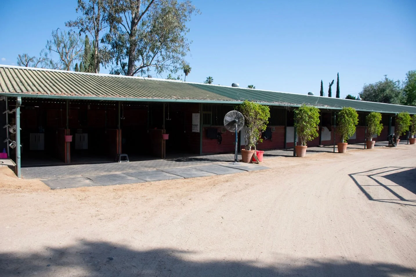 A row of horse stables with green trees and a dirt path in front, under a clear blue sky.