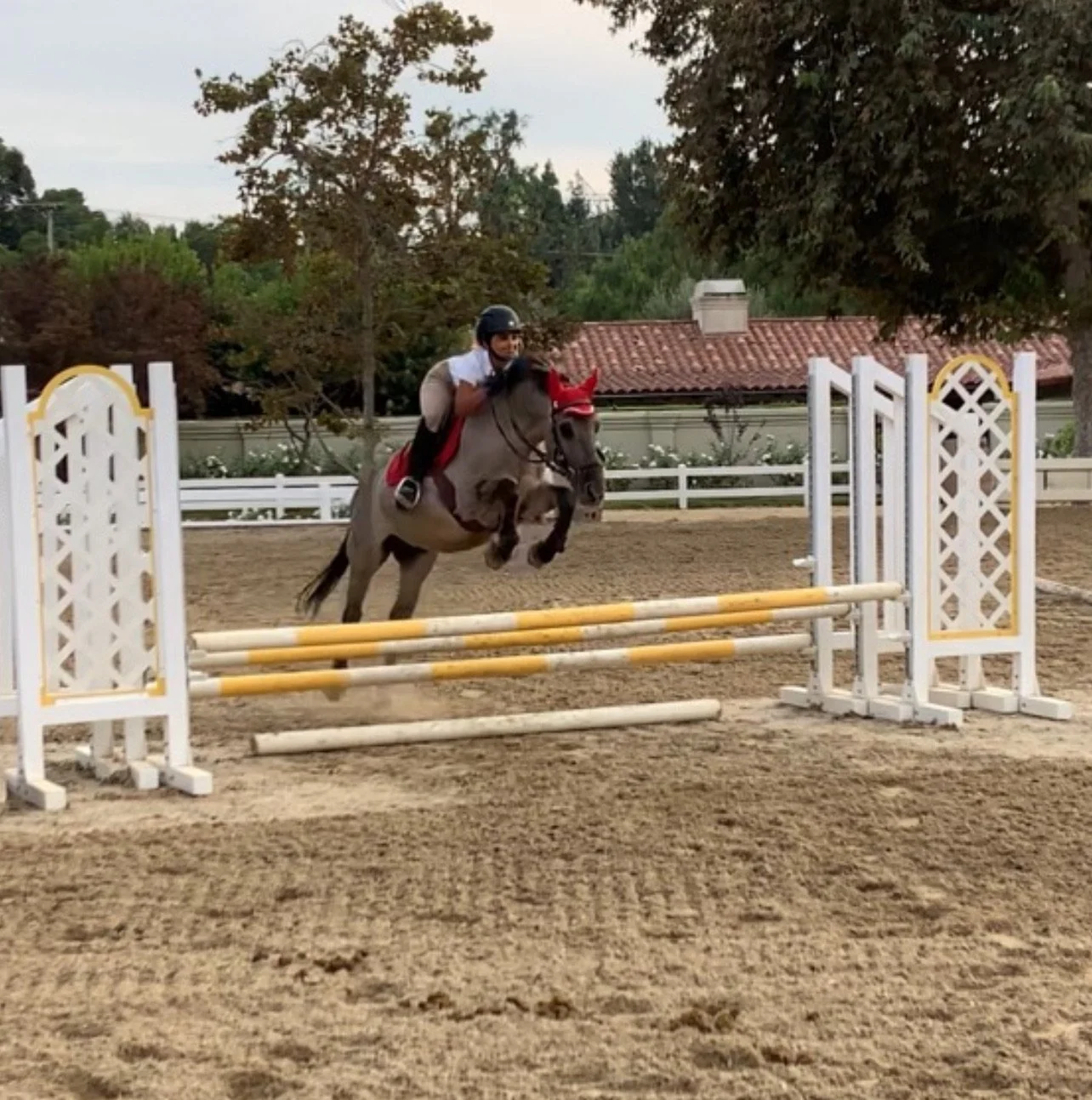 A person riding a jumping horse in an equestrian arena during daytime.