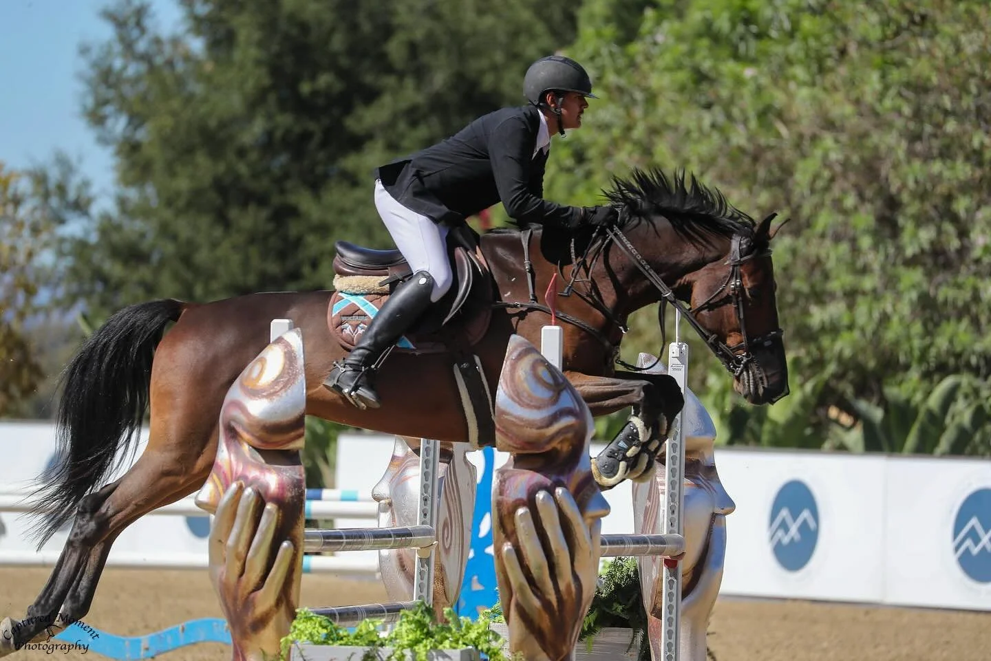 A jockey in black jacket and white pants riding a brown horse over a colorful obstacle in a show jumping competition.