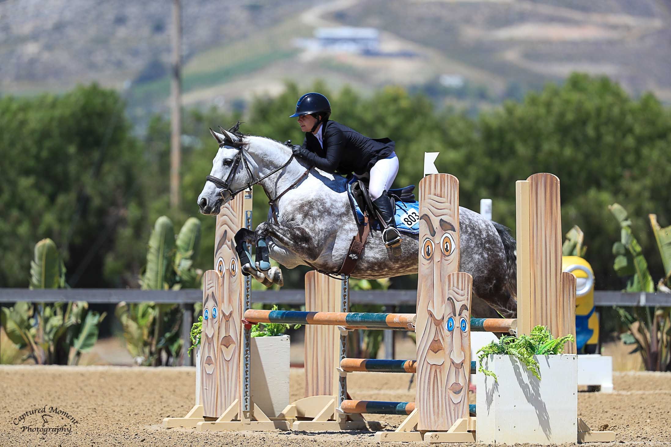 A female equestrian rider in a black helmet and riding attire guides a gray horse over a colorful show jumping obstacle with cartoon eyes design, set in an outdoor arena with green trees and rolling hills in the background.