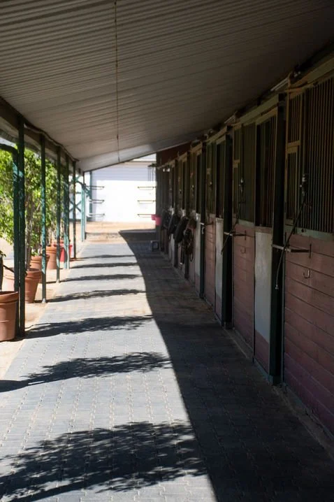 Stable aisle with horse stalls on the right and potted plants on the left, shaded by a roof.