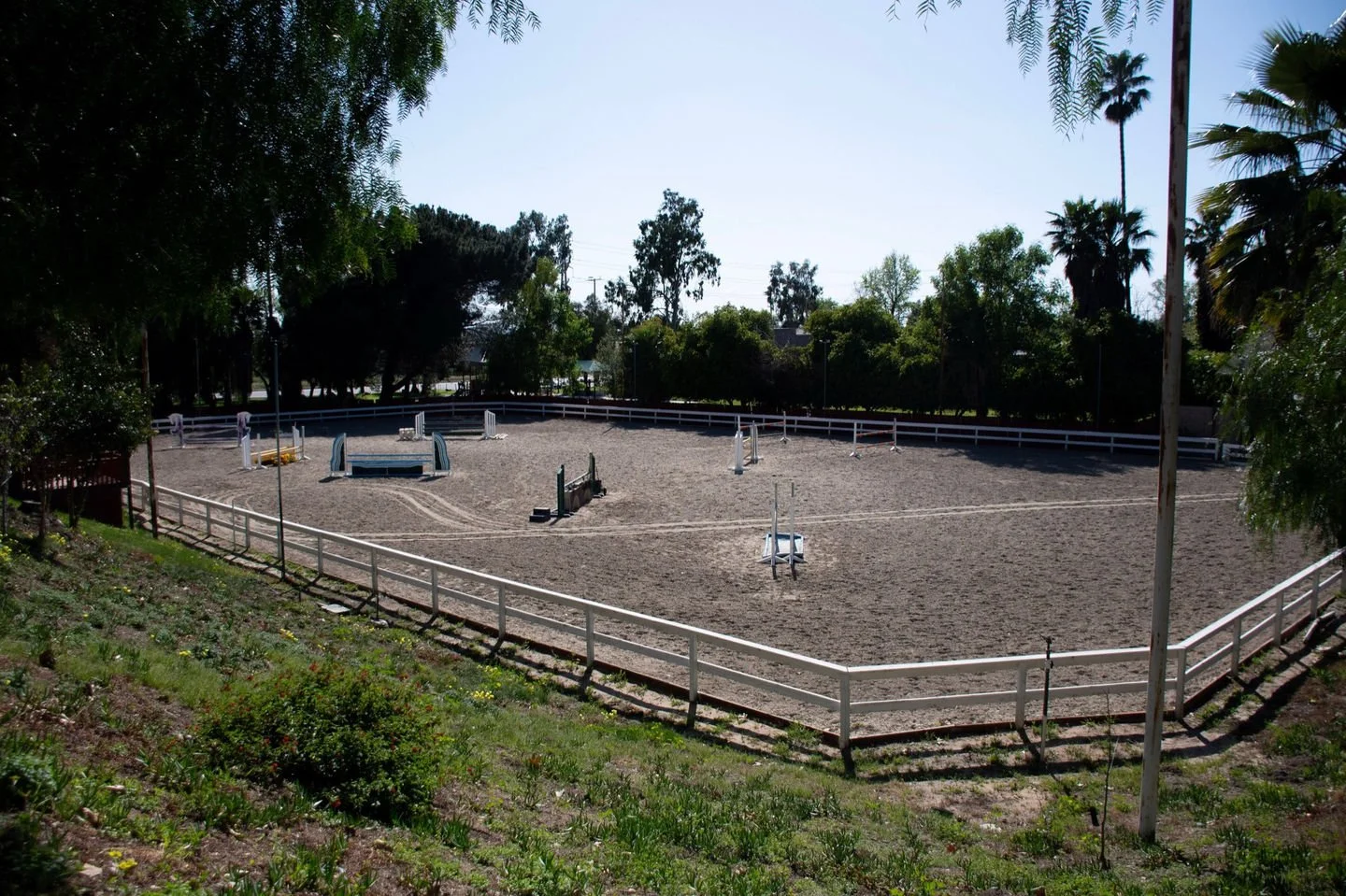 An empty outdoor horse riding arena with jumps, surrounded by trees and a white fence.
